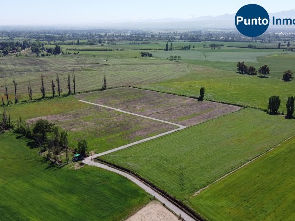 Los Mejores Lugares para Comprar una Parcela en Chile