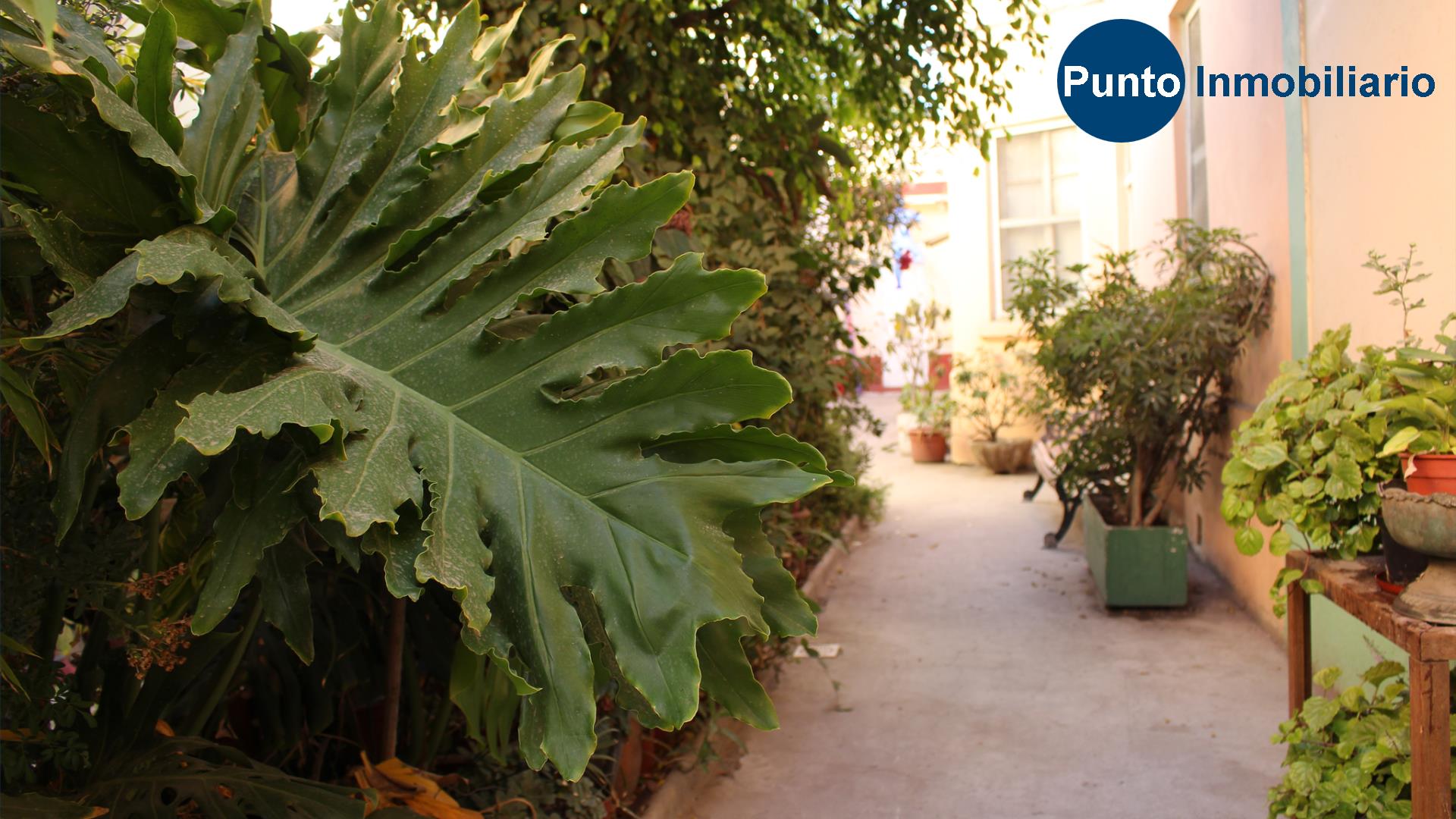 Domeyko (Time 0_00_11;28)