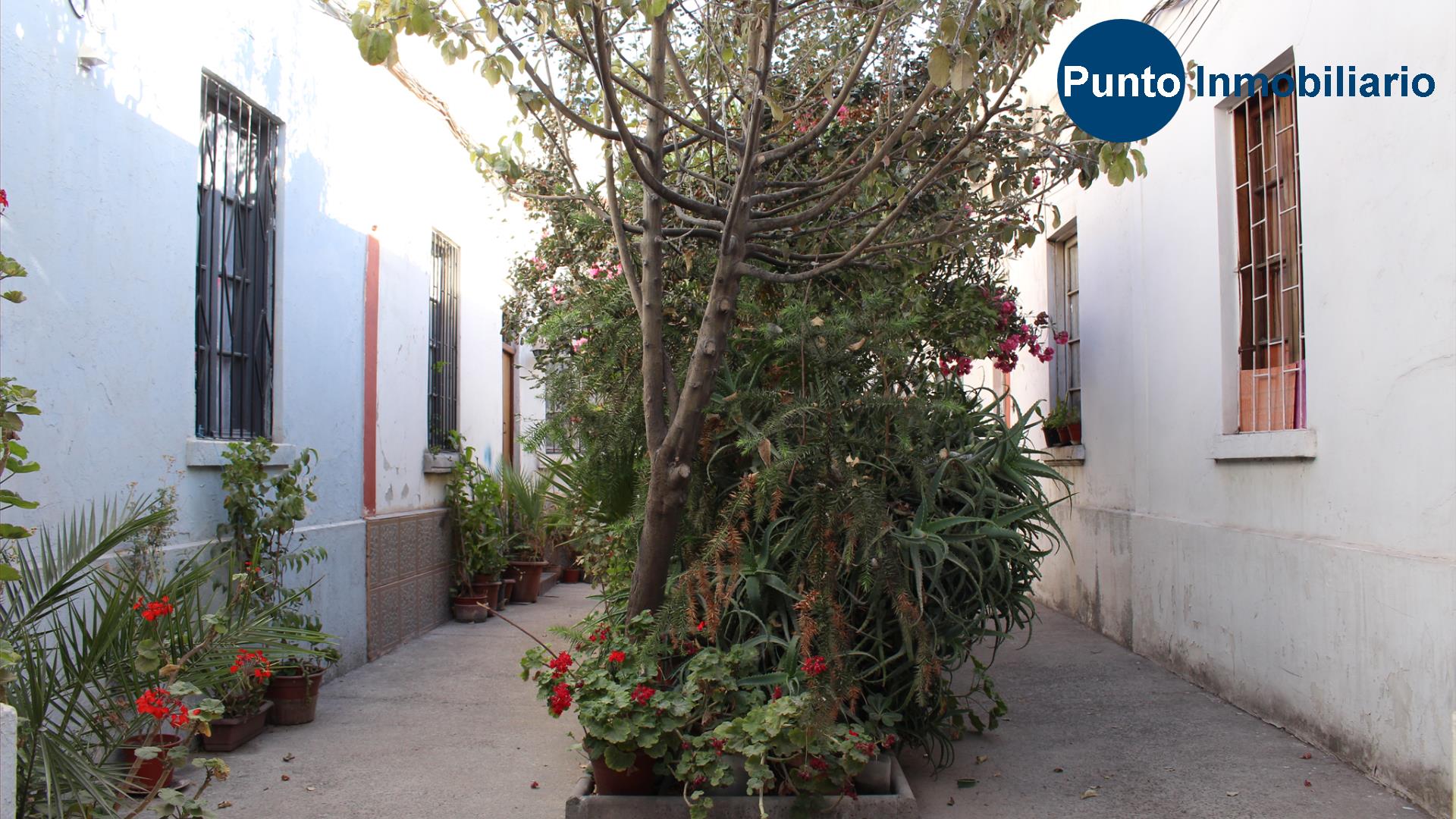 Domeyko (Time 0_00_22;06)