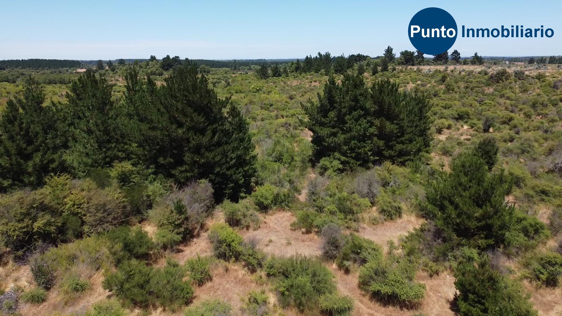 La Gloria – Pemuco (Time 0_00_08;25)