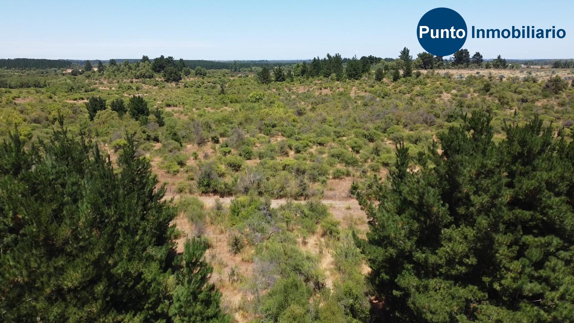 La Gloria – Pemuco (Time 0_00_13;11)