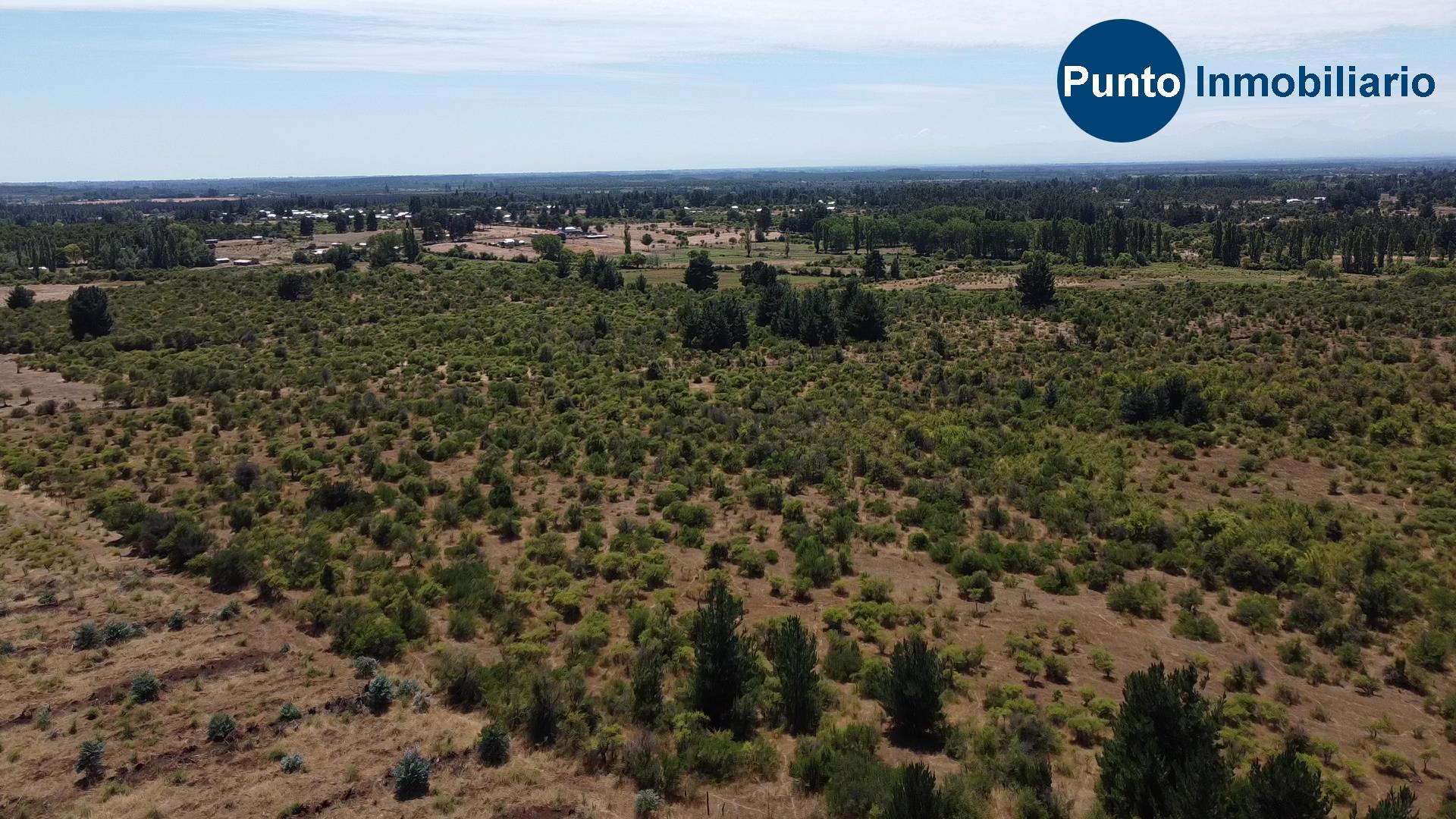 La Gloria – Pemuco (Time 0_00_16;02)