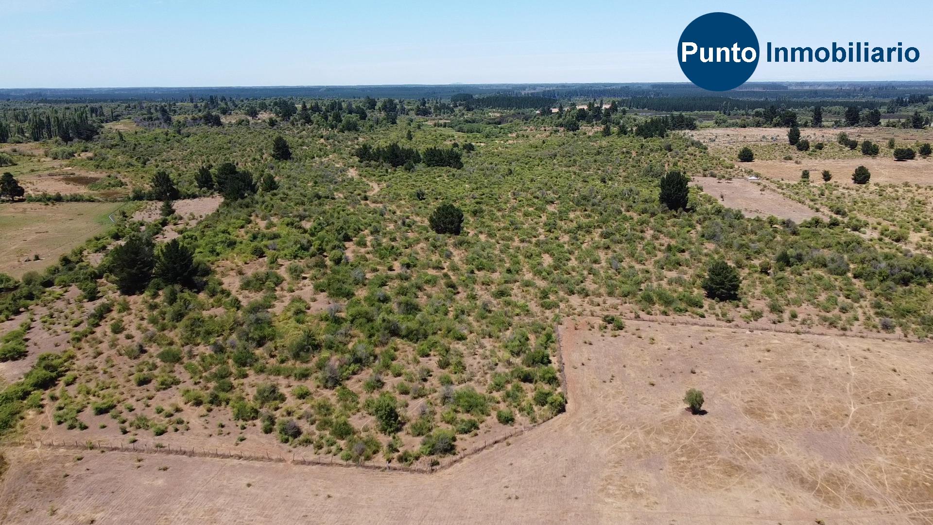 La Gloria – Pemuco (Time 0_00_31;03)