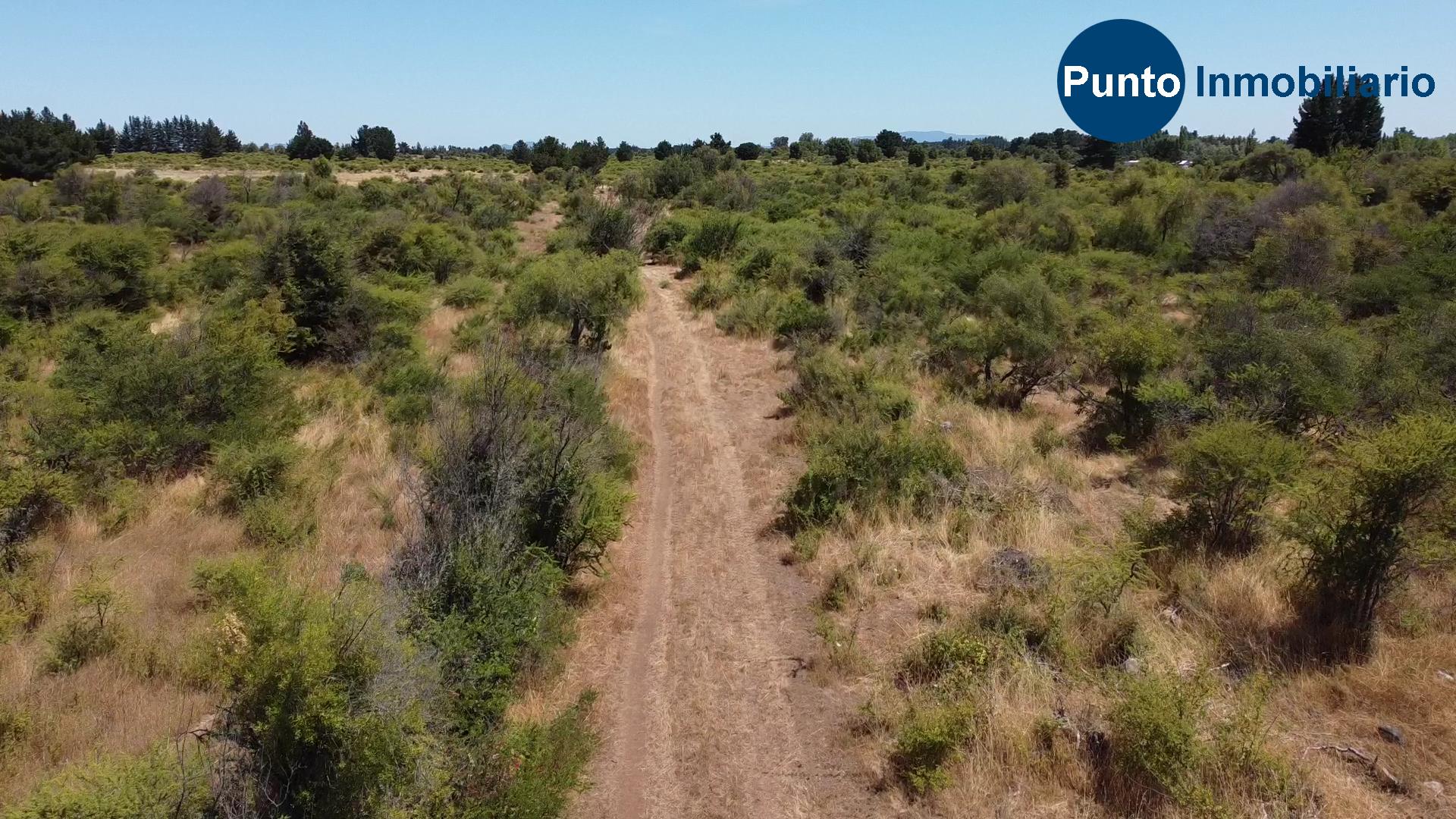 La Gloria – Pemuco (Time 0_00_36;05)