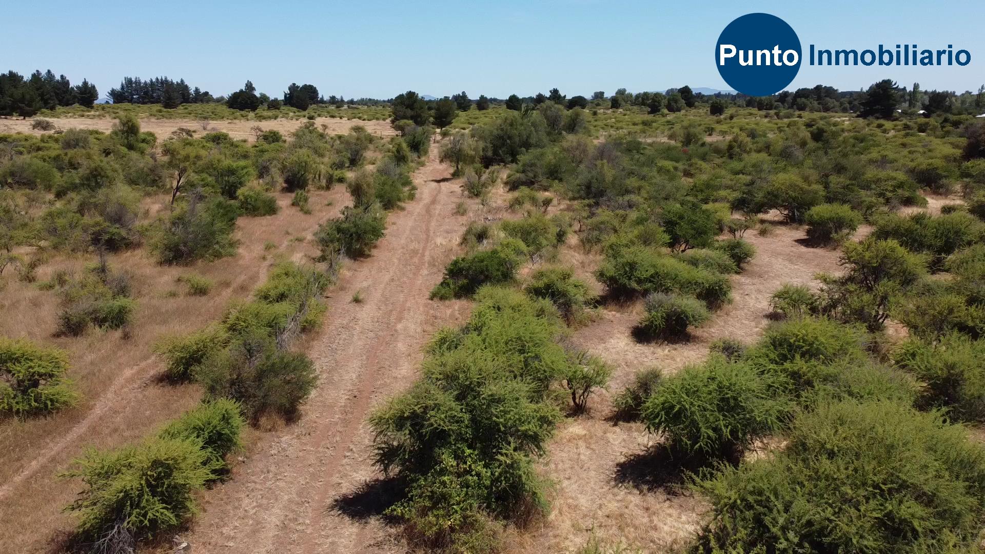 La Gloria – Pemuco (Time 0_00_41;08)