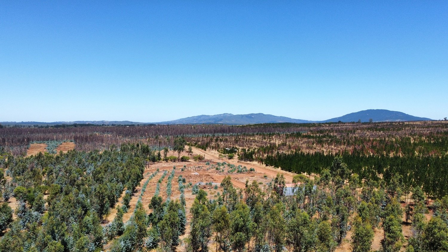 dji_fly_20230130_132306_969_1675107592247_photo_optimized