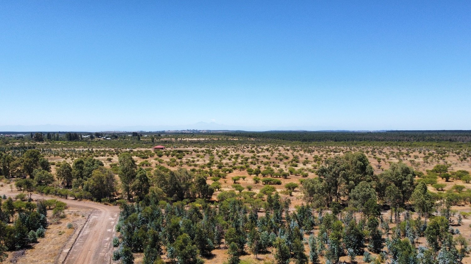 dji_fly_20230130_132312_971_1675107588176_photo_optimized