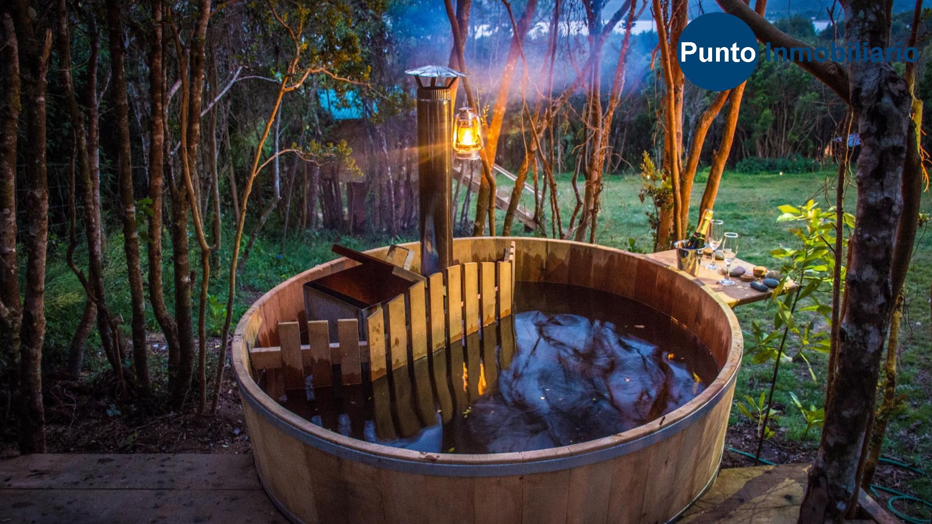 Huillin (Time 0_01_06;12)