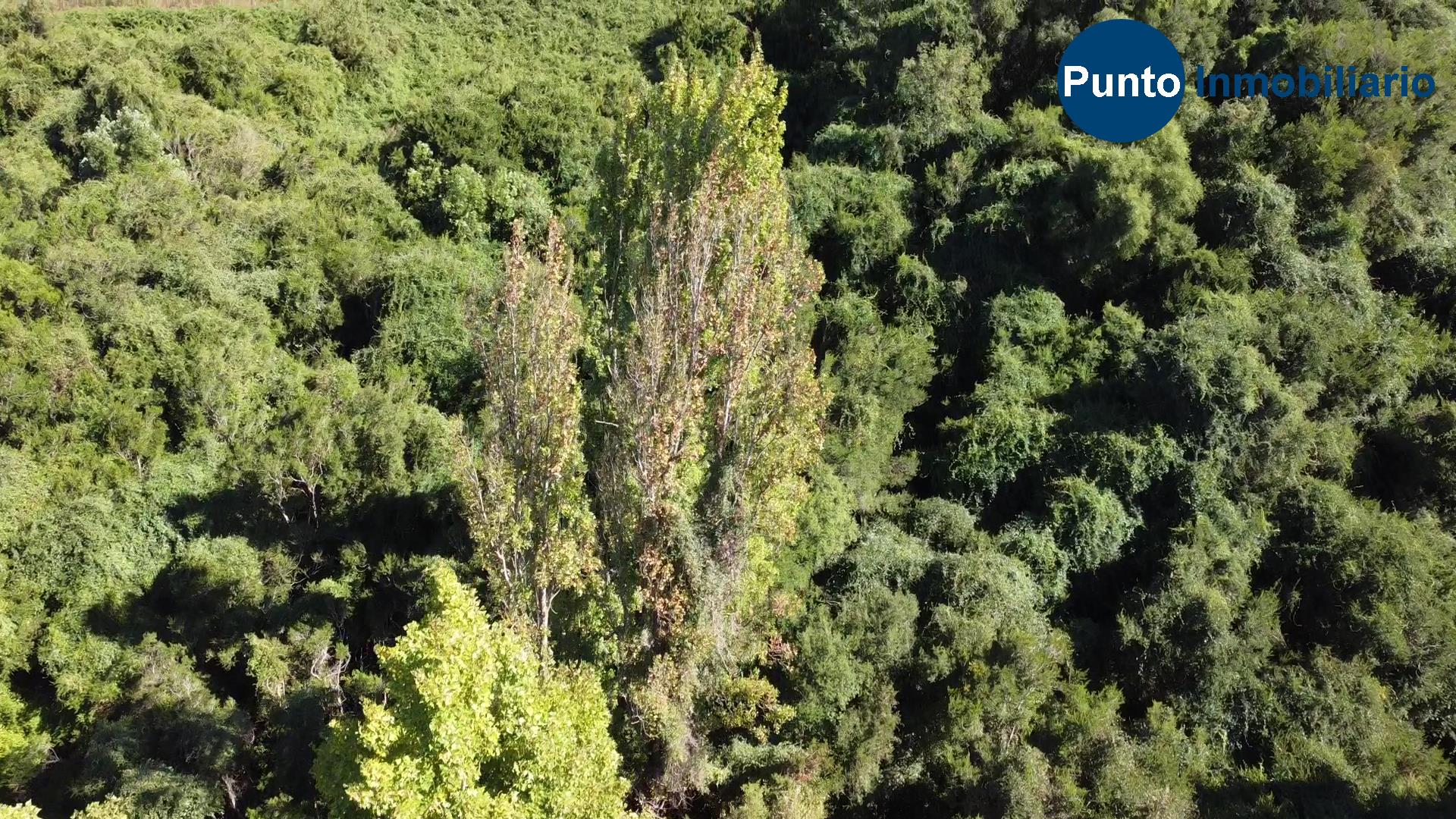 Recomendaciones al comprar tu parcela: 9 consejos esenciales