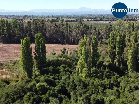 Lo Que Debes Saber Antes de Comprar una Parcela