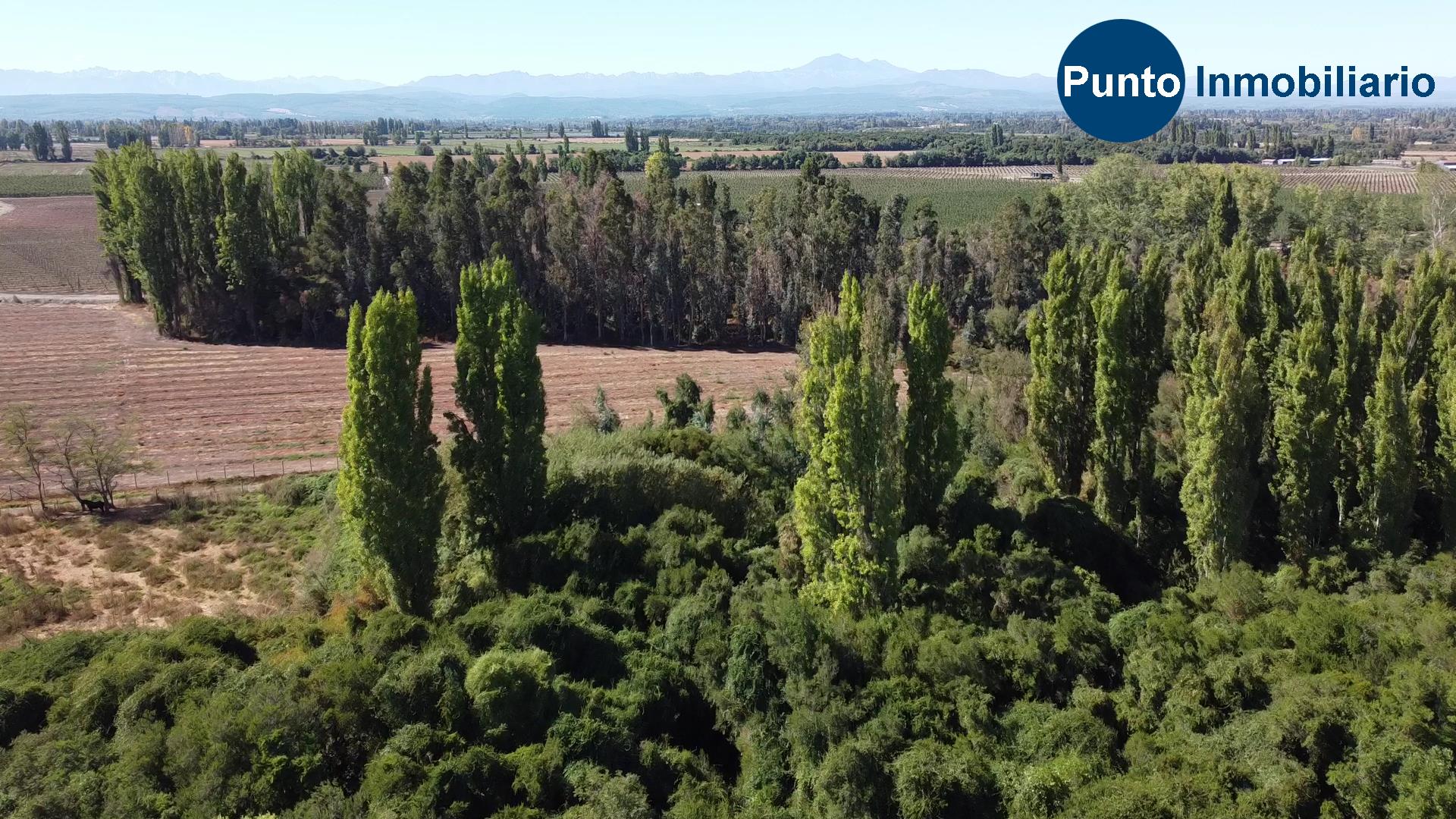 Lo Que Debes Saber Antes de Comprar una Parcela