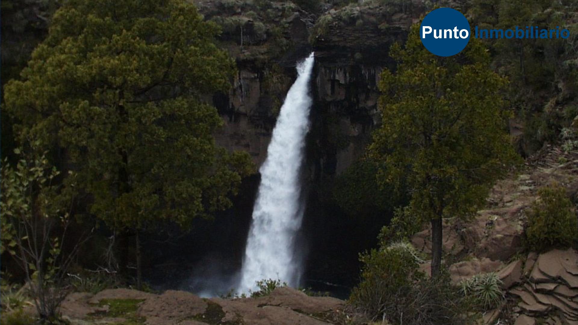 El Plan Fotos (Time 0_00_26;19)