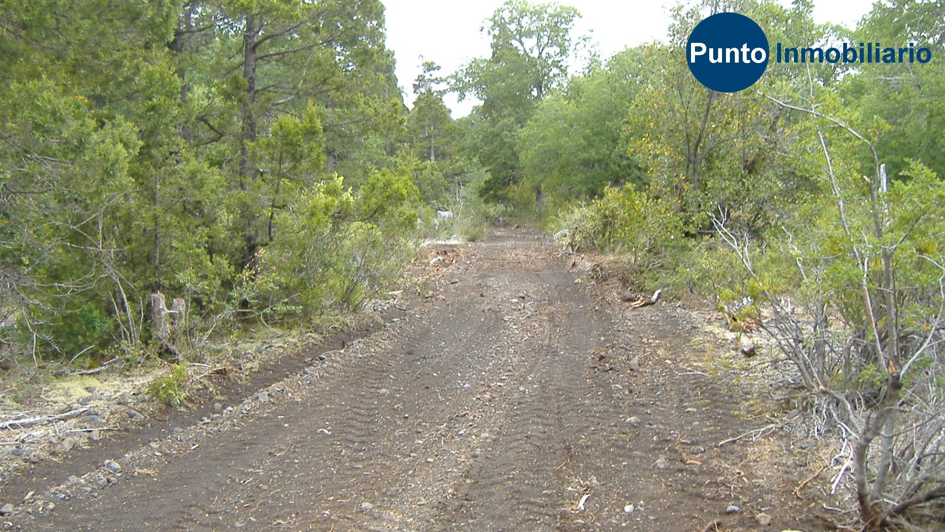 El Plan Fotos (Time 0_00_32;14)