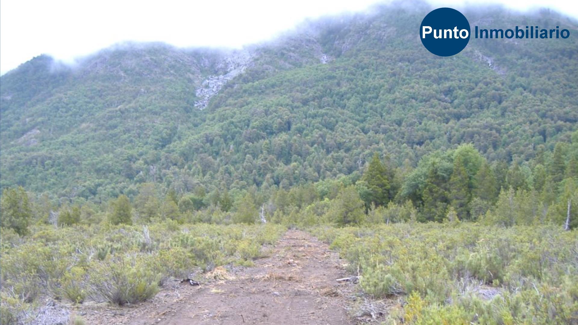 El Plan Fotos (Time 0_00_37;06)