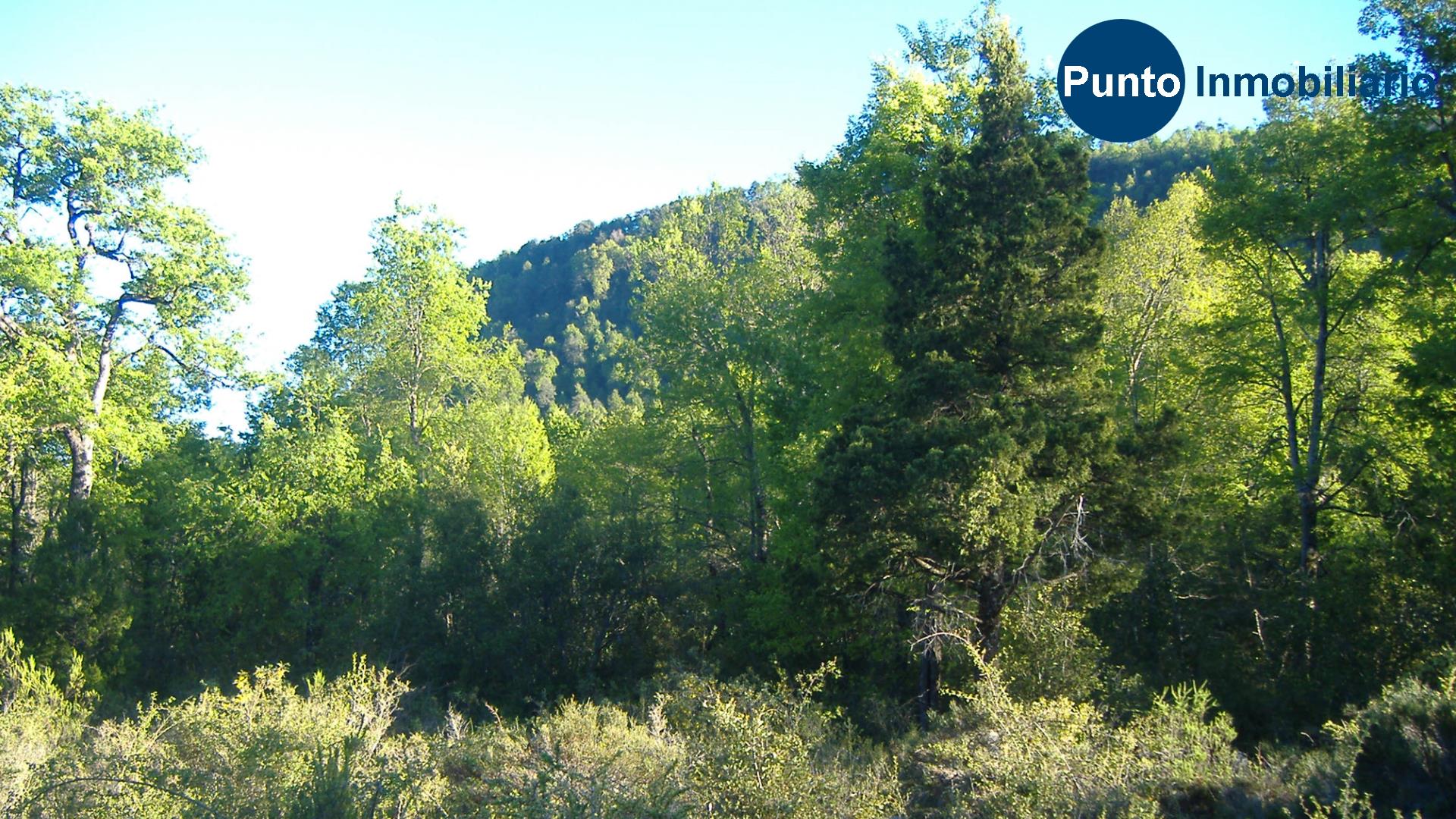 El Plan Fotos (Time 0_00_41;15)