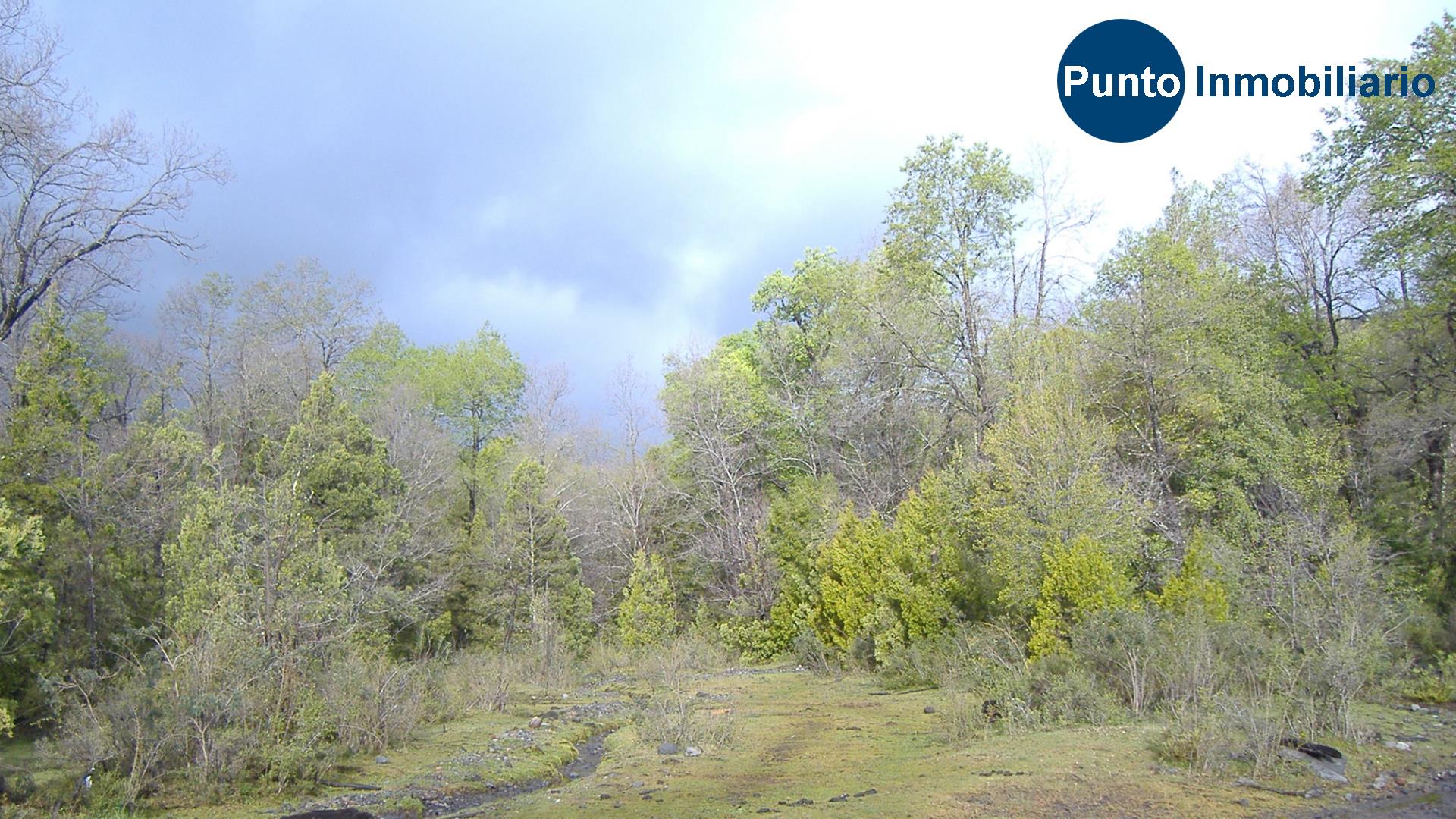 El Plan Fotos (Time 0_00_53;01)