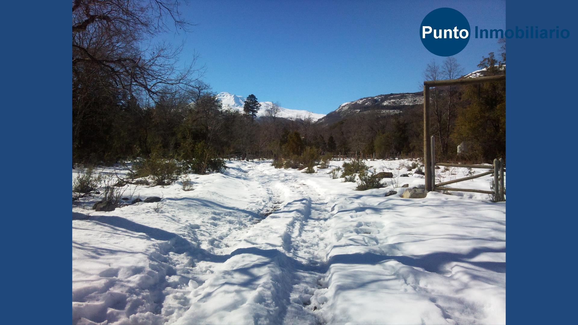 El Plan Fotos (Time 0_01_27;19)