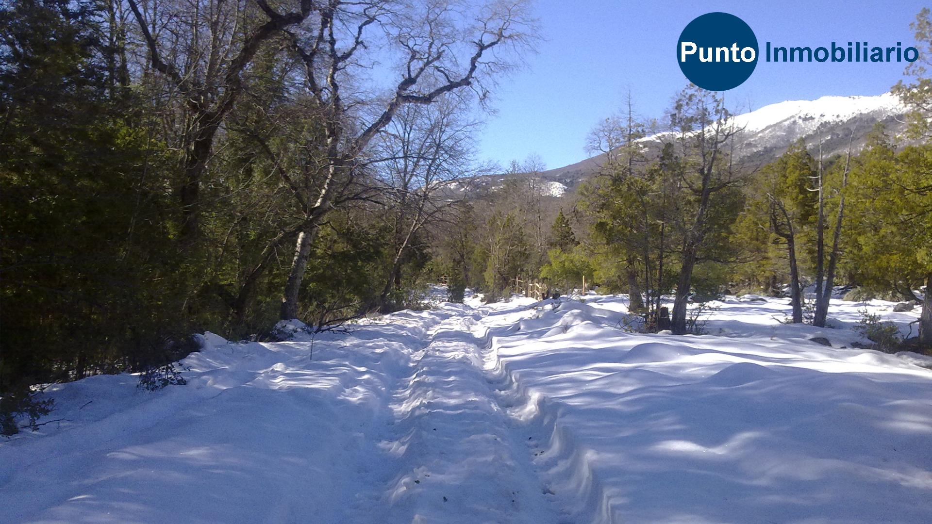 El Plan Fotos (Time 0_01_42;12)