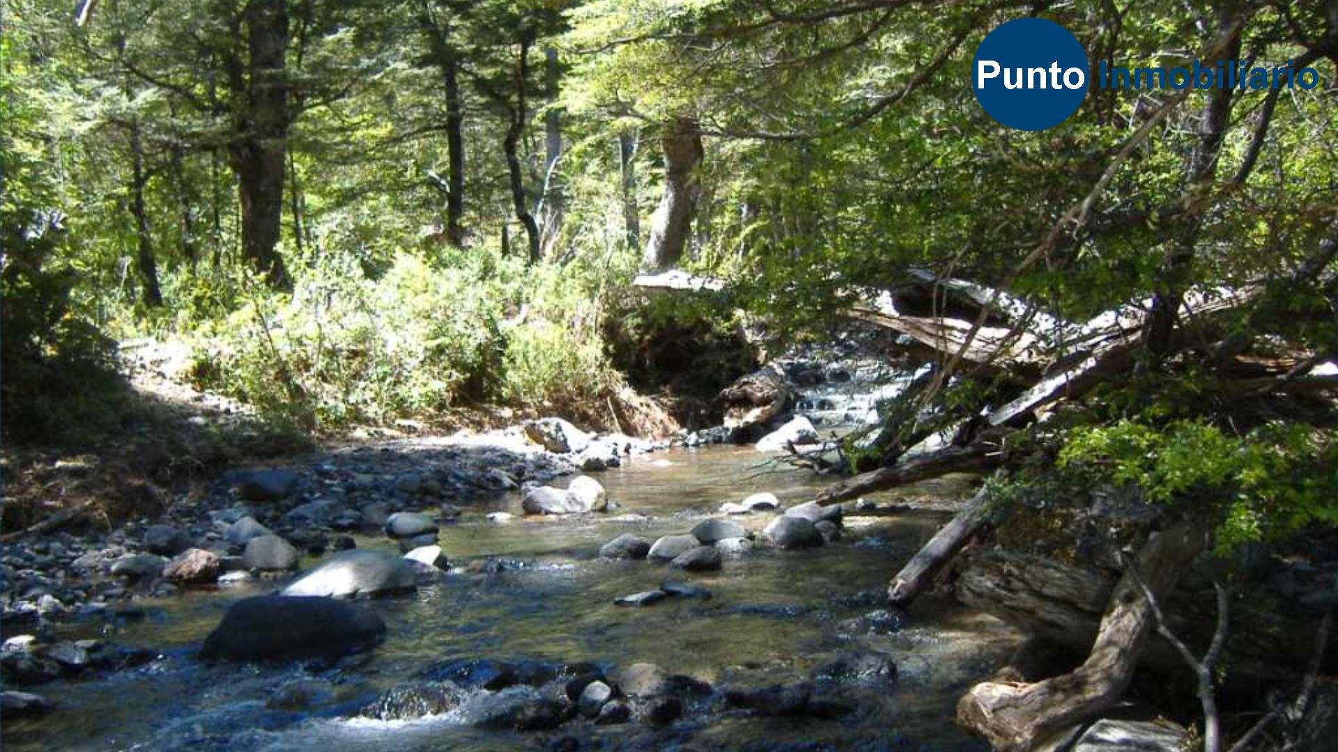 El Plan Fotos (Time 0_02_02;07)