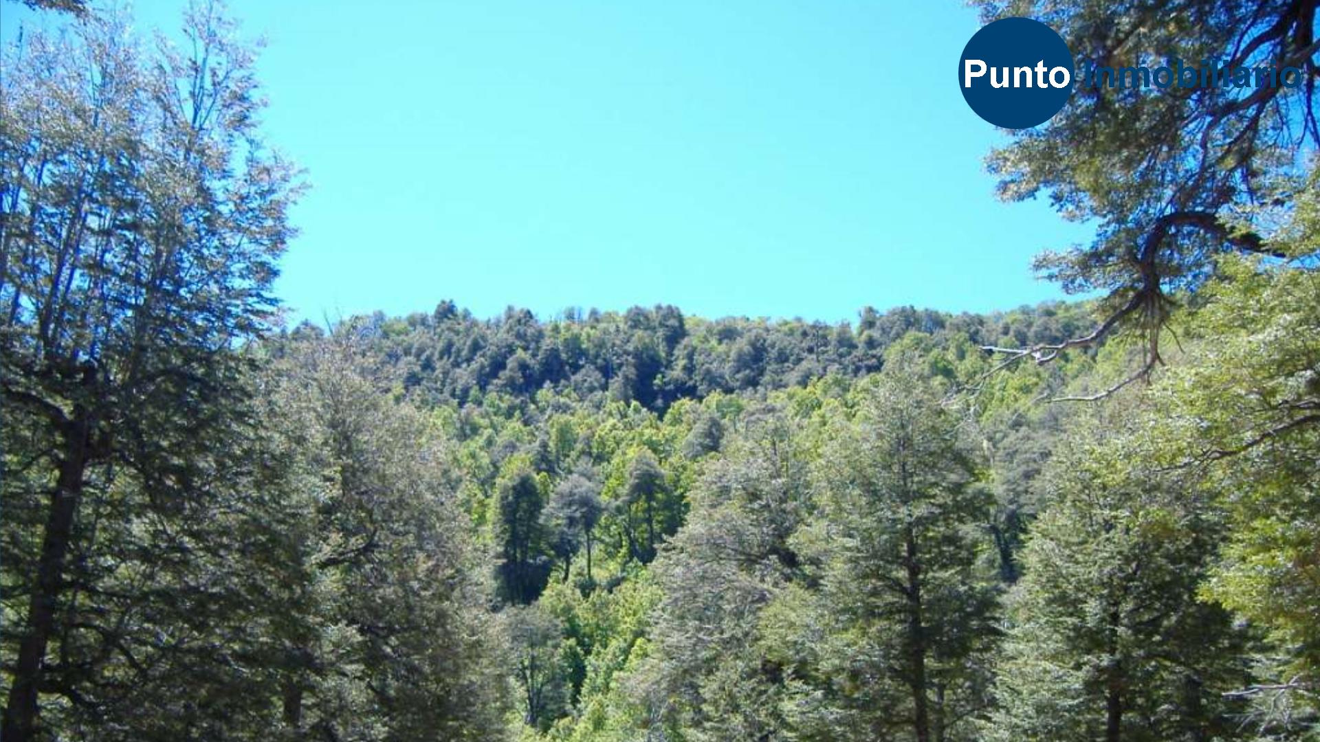 El Plan Fotos (Time 0_02_07;12)