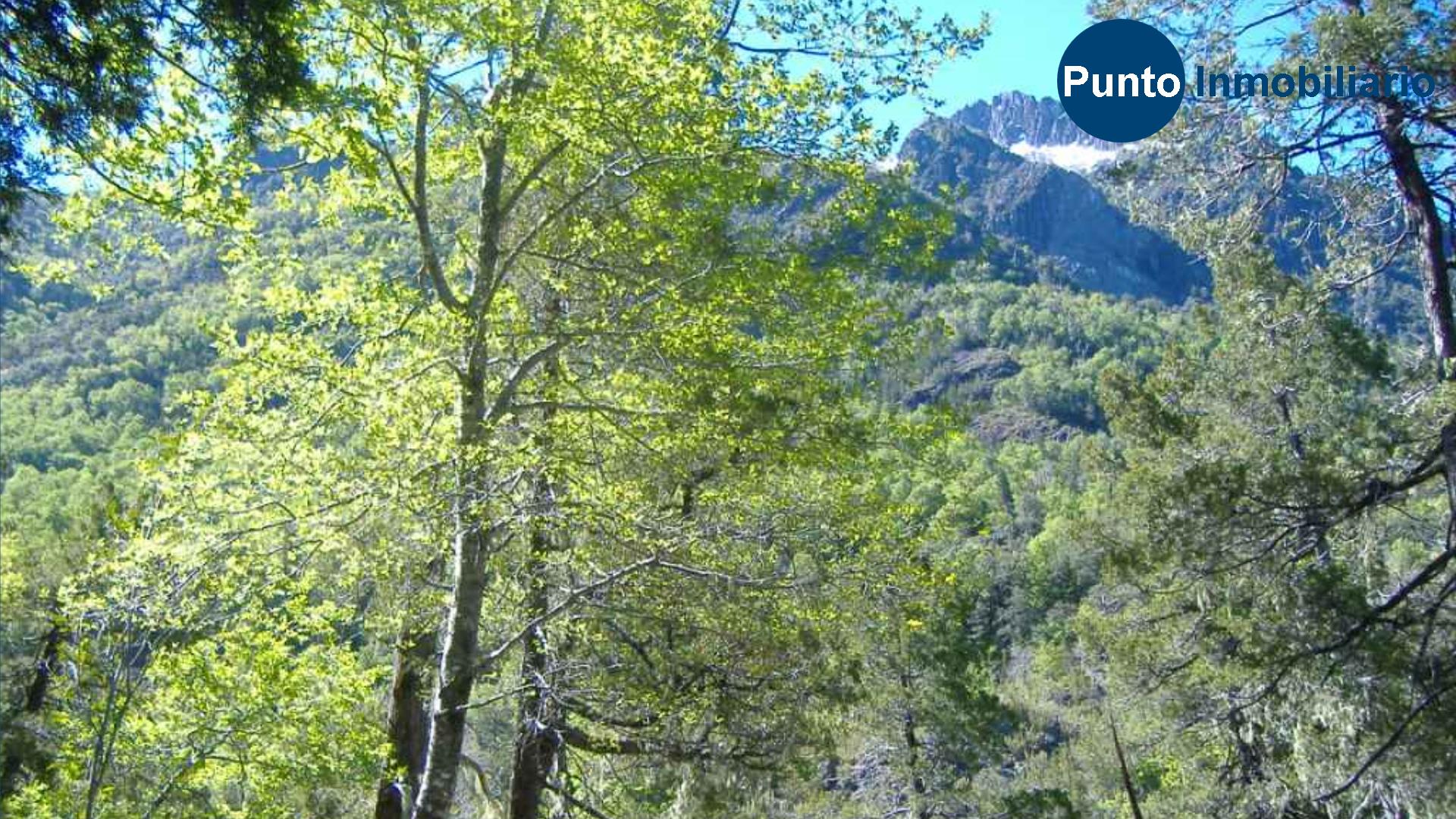 El Plan Fotos (Time 0_02_22;11)