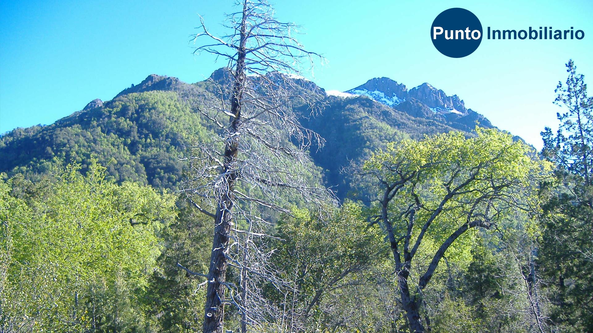 El Plan Fotos (Time 0_02_36;27)