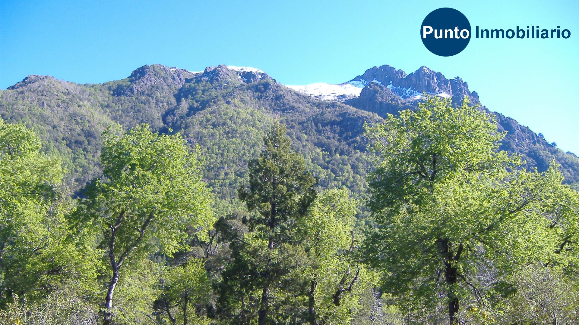 El Plan Fotos (Time 0_02_47;04)