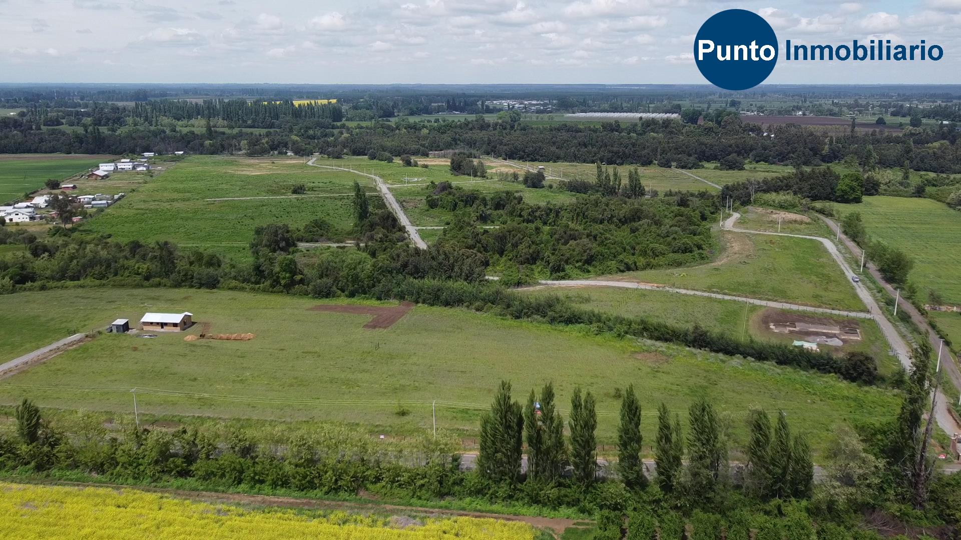 Las Mariposas 2 (Time 0_00_20;26)