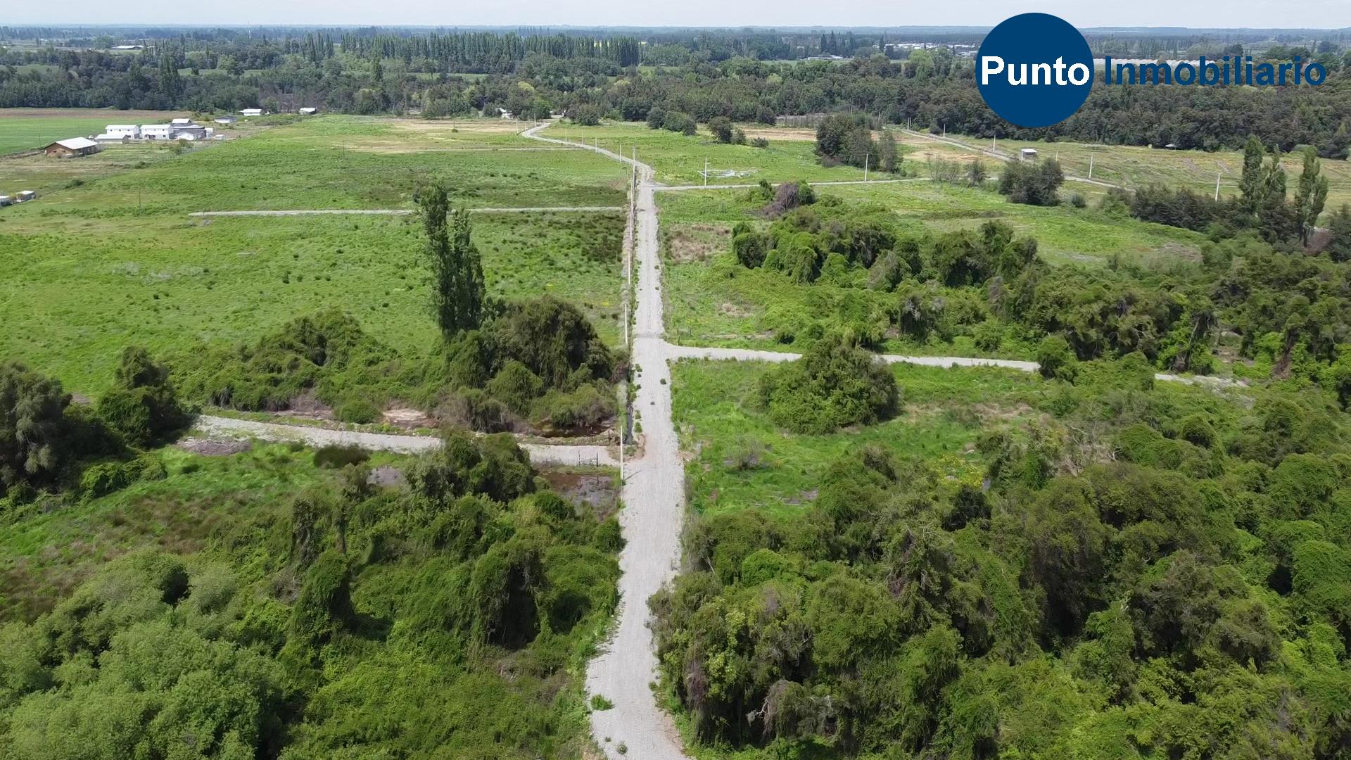 Las Mariposas 2 (Time 0_00_26;05)