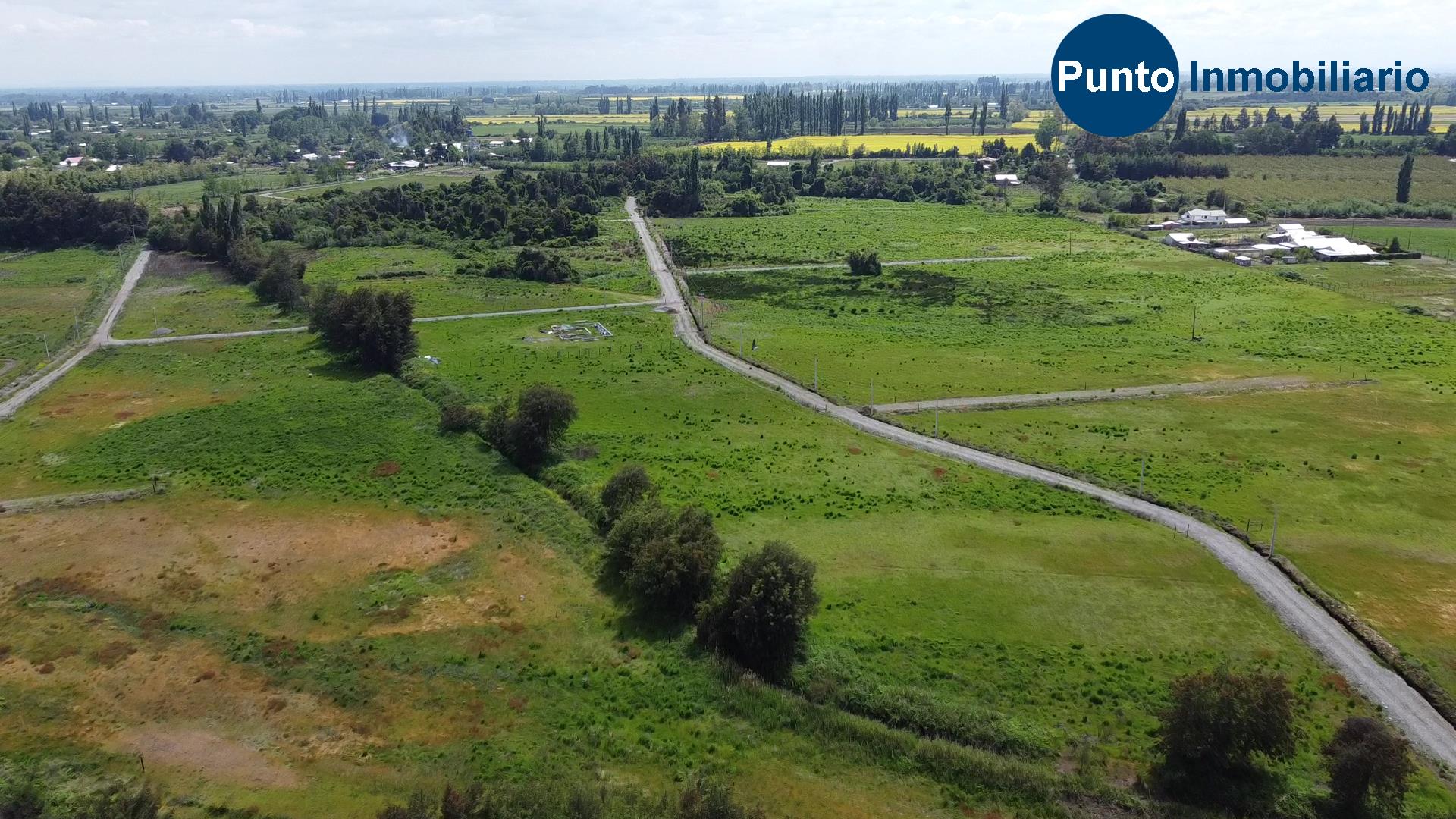 Las Mariposas 2 (Time 0_00_31;14)