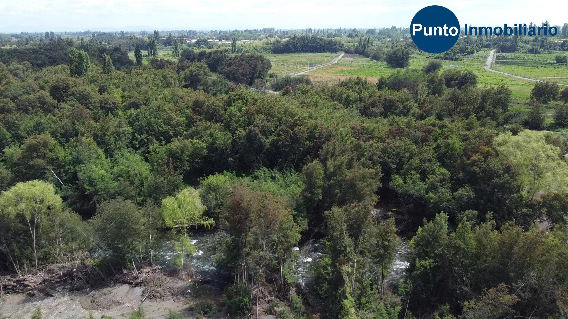 Las Mariposas 2 (Time 0_00_47;11)