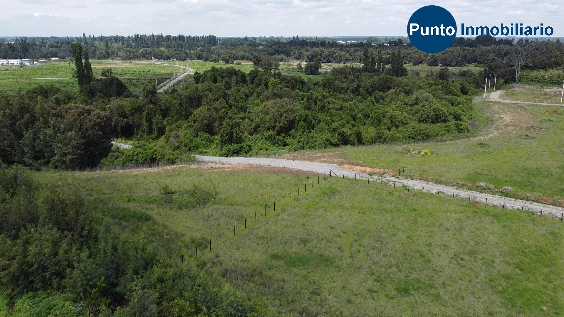 Las Mariposas 2 (Time 0_01_03;08)