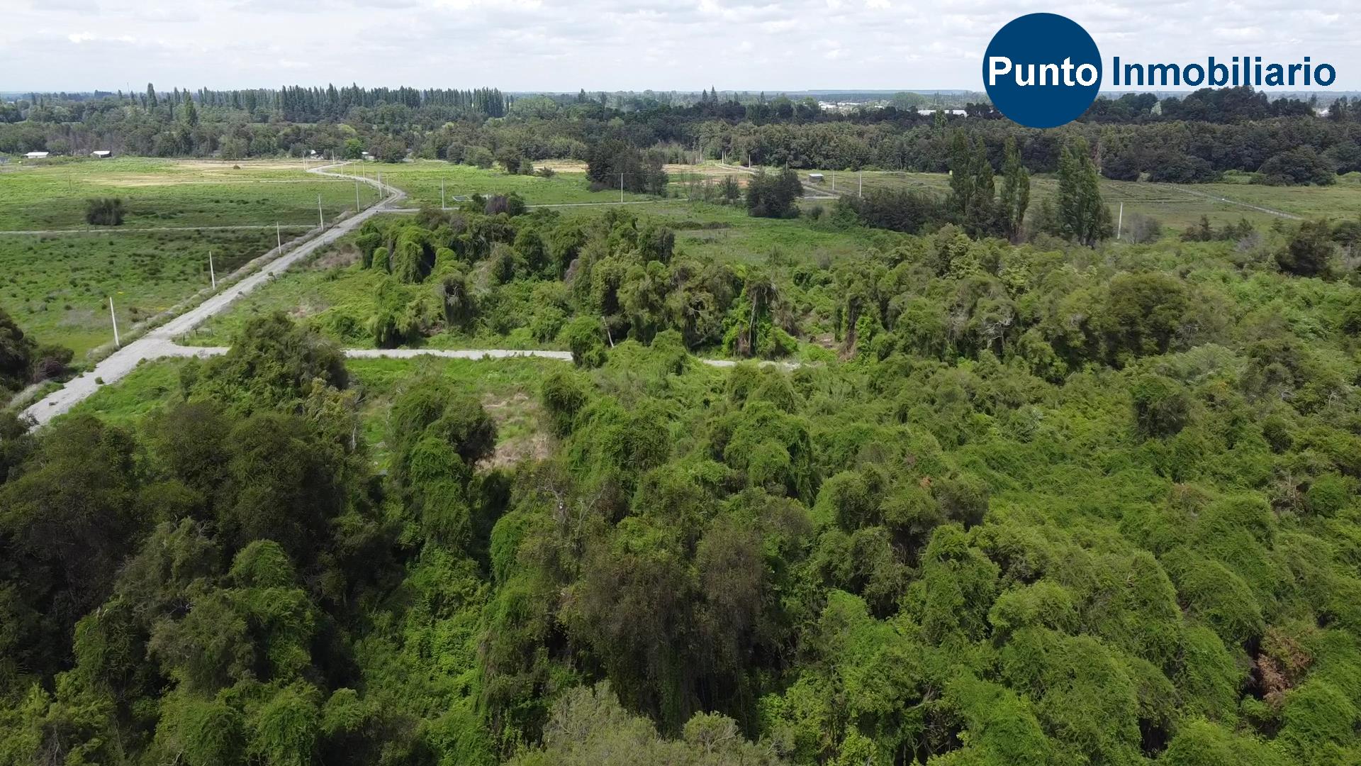 Las Mariposas 2 (Time 0_01_08;17)