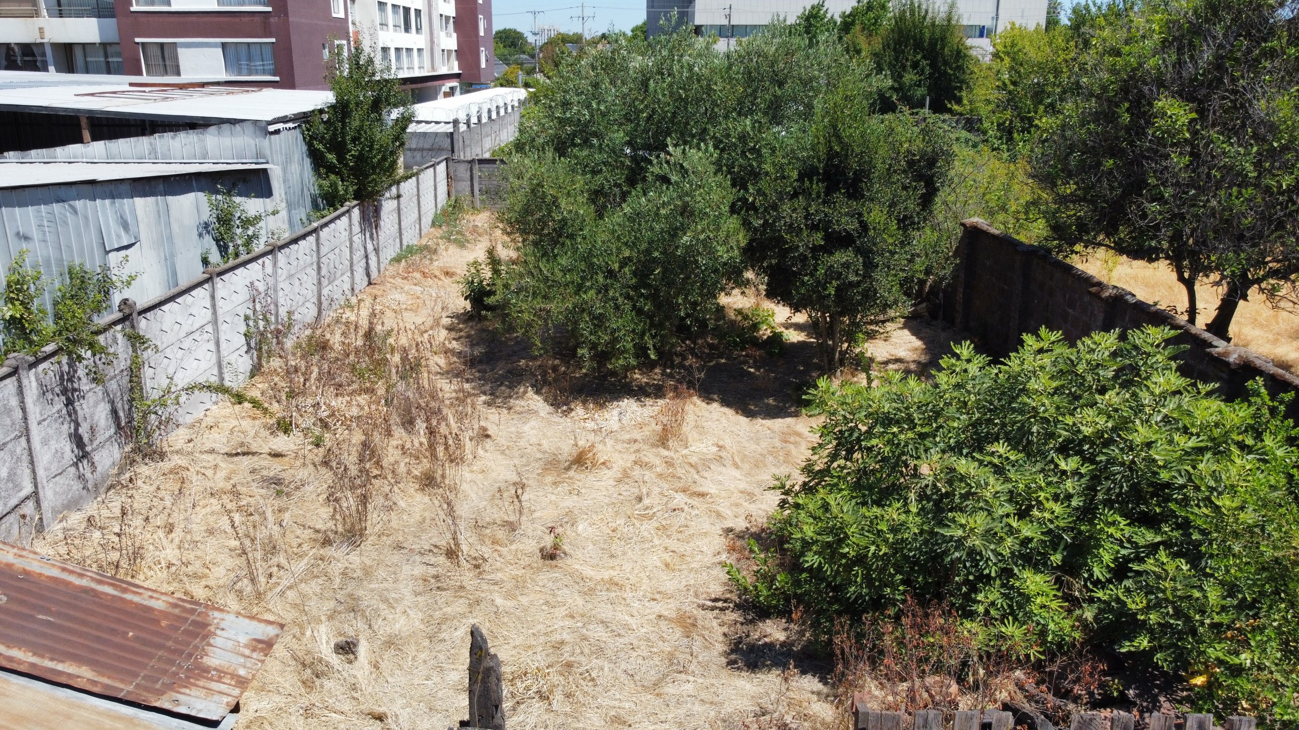 dji_fly_20240206_124358_377_1707250161981_photo_optimized