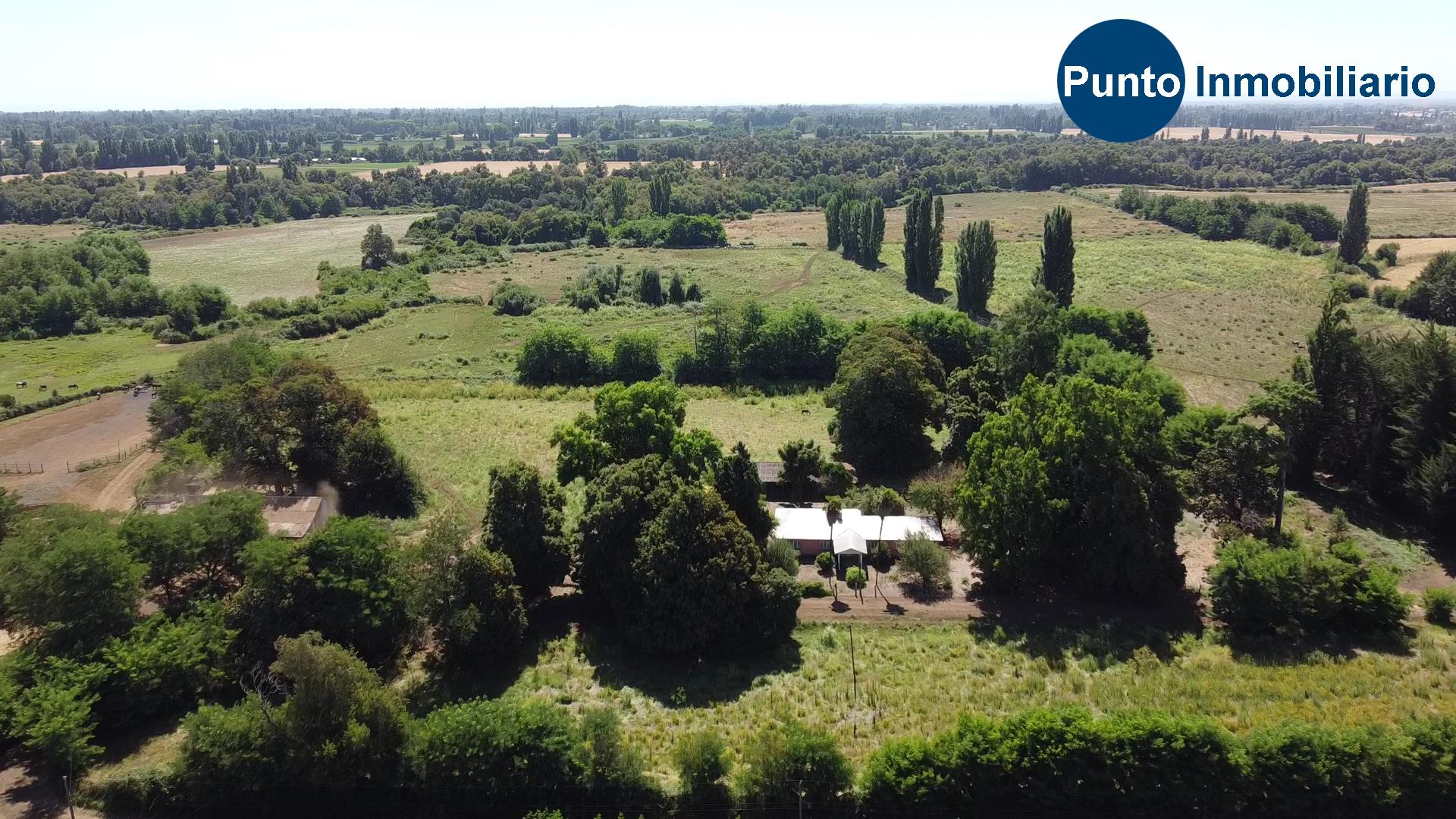 Fundo en Coihueco (Time 0_00_00;29)