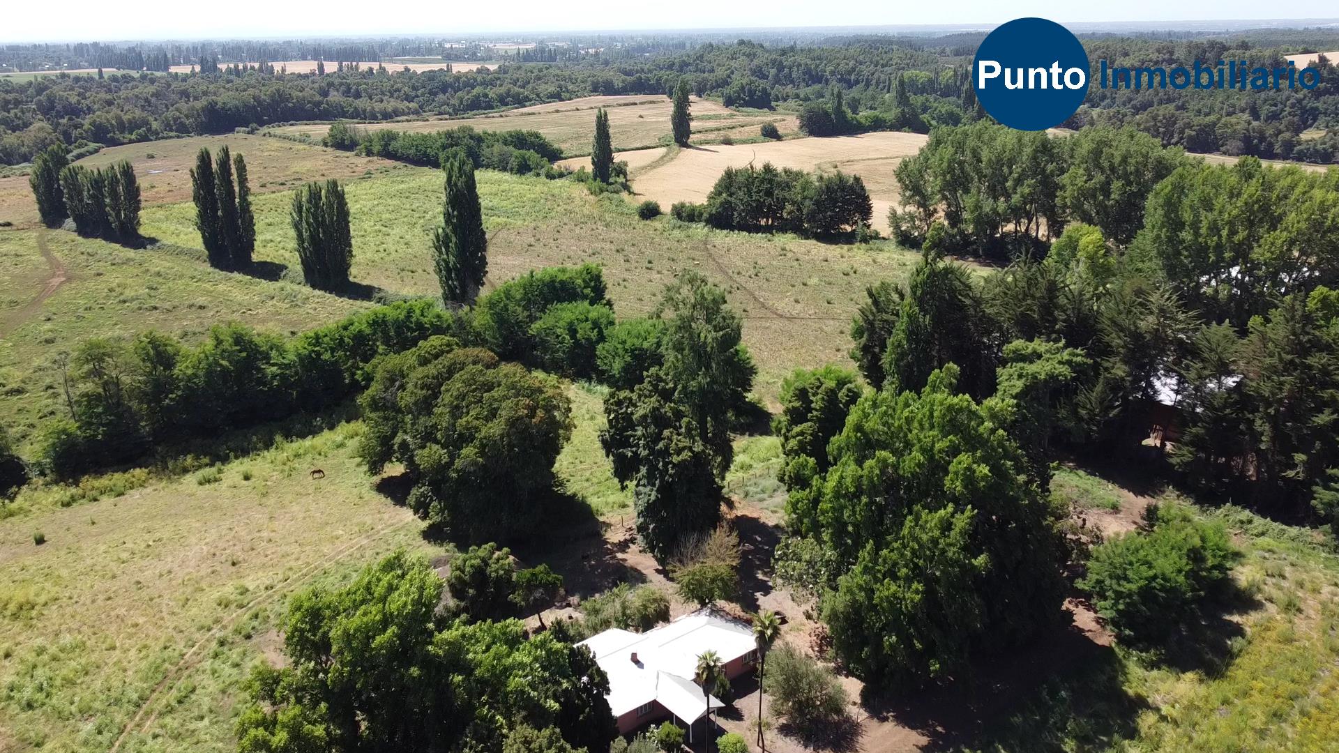 Fundo en Coihueco (Time 0_00_04;11)