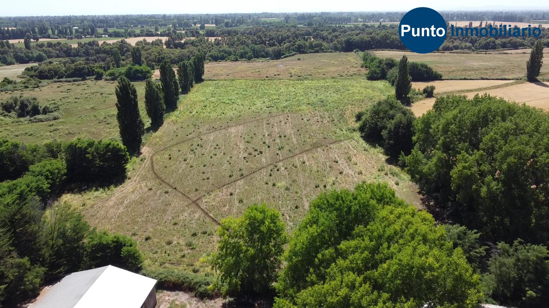 Fundo en Coihueco (Time 0_00_08;16)