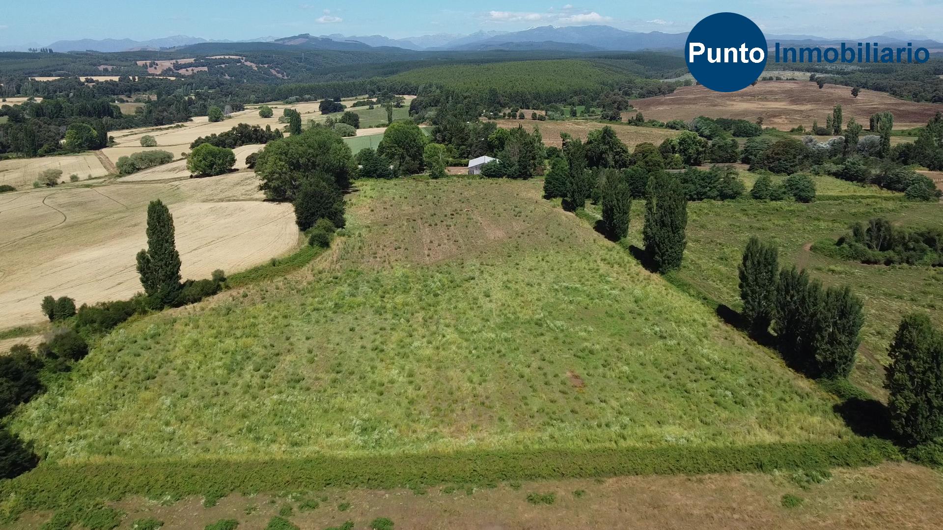 Fundo en Coihueco (Time 0_00_12;20)