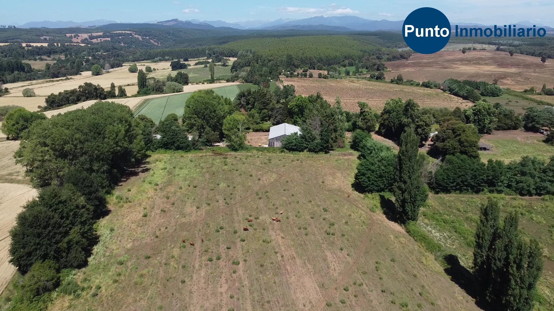 Fundo en Coihueco (Time 0_00_16;15)