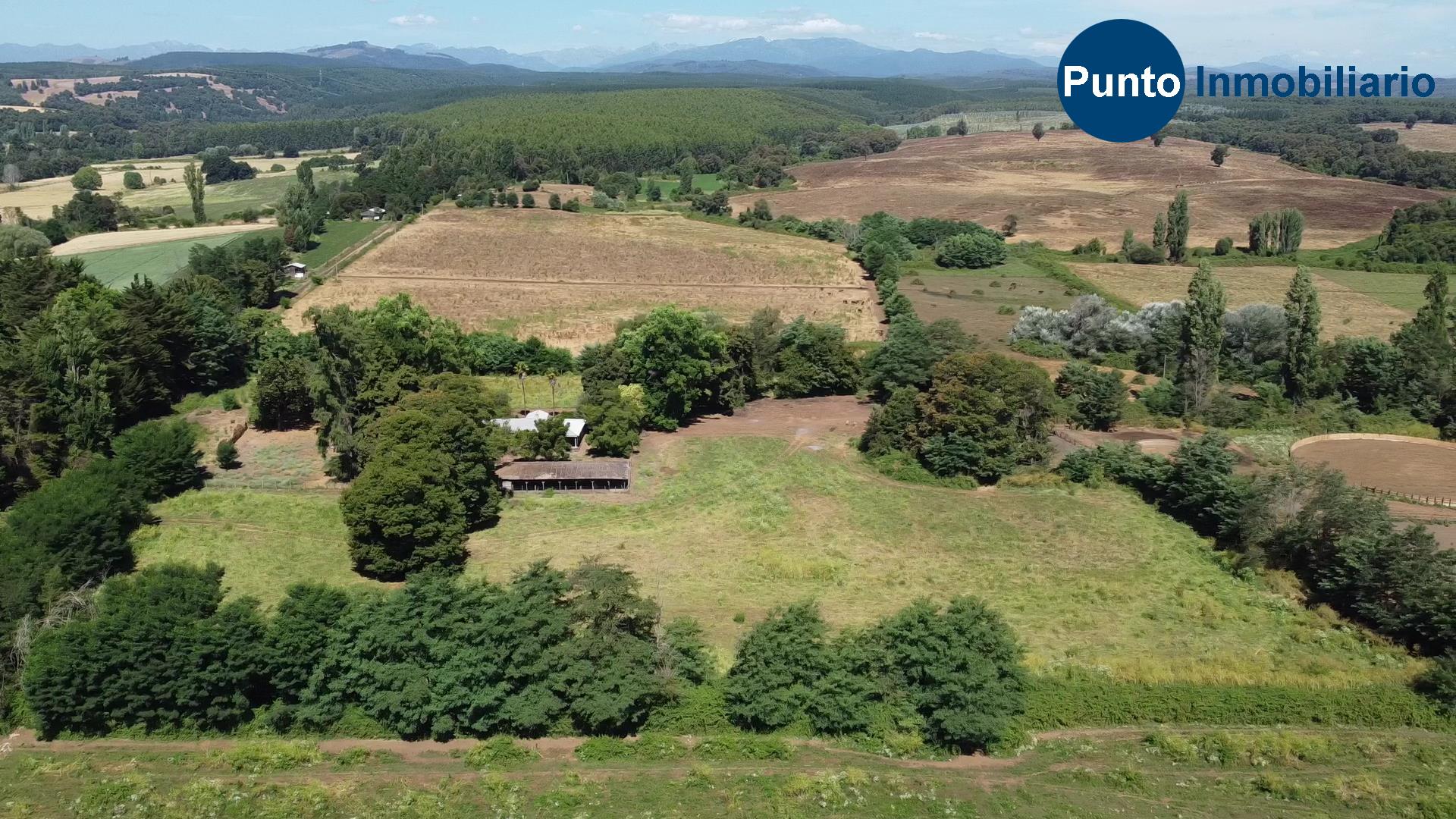 Fundo en Coihueco (Time 0_00_19;14)