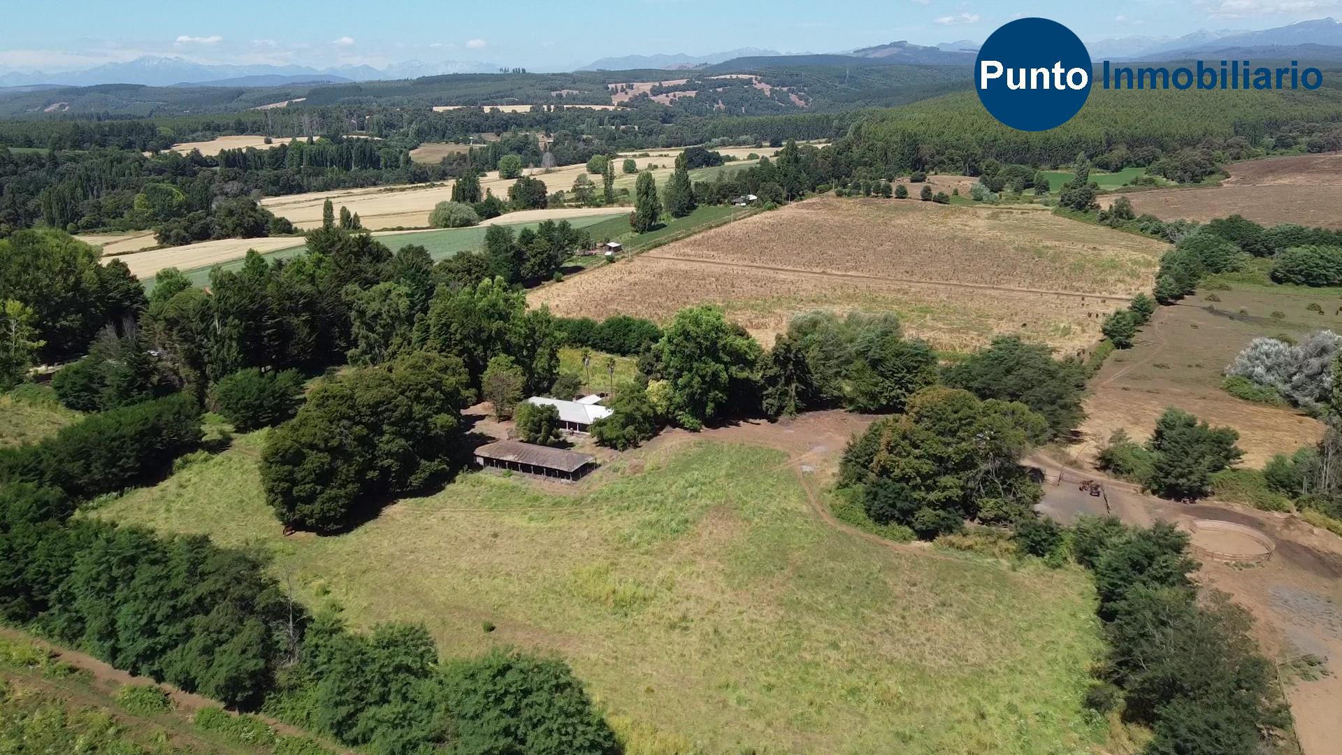 Fundo en Coihueco (Time 0_00_23;00)