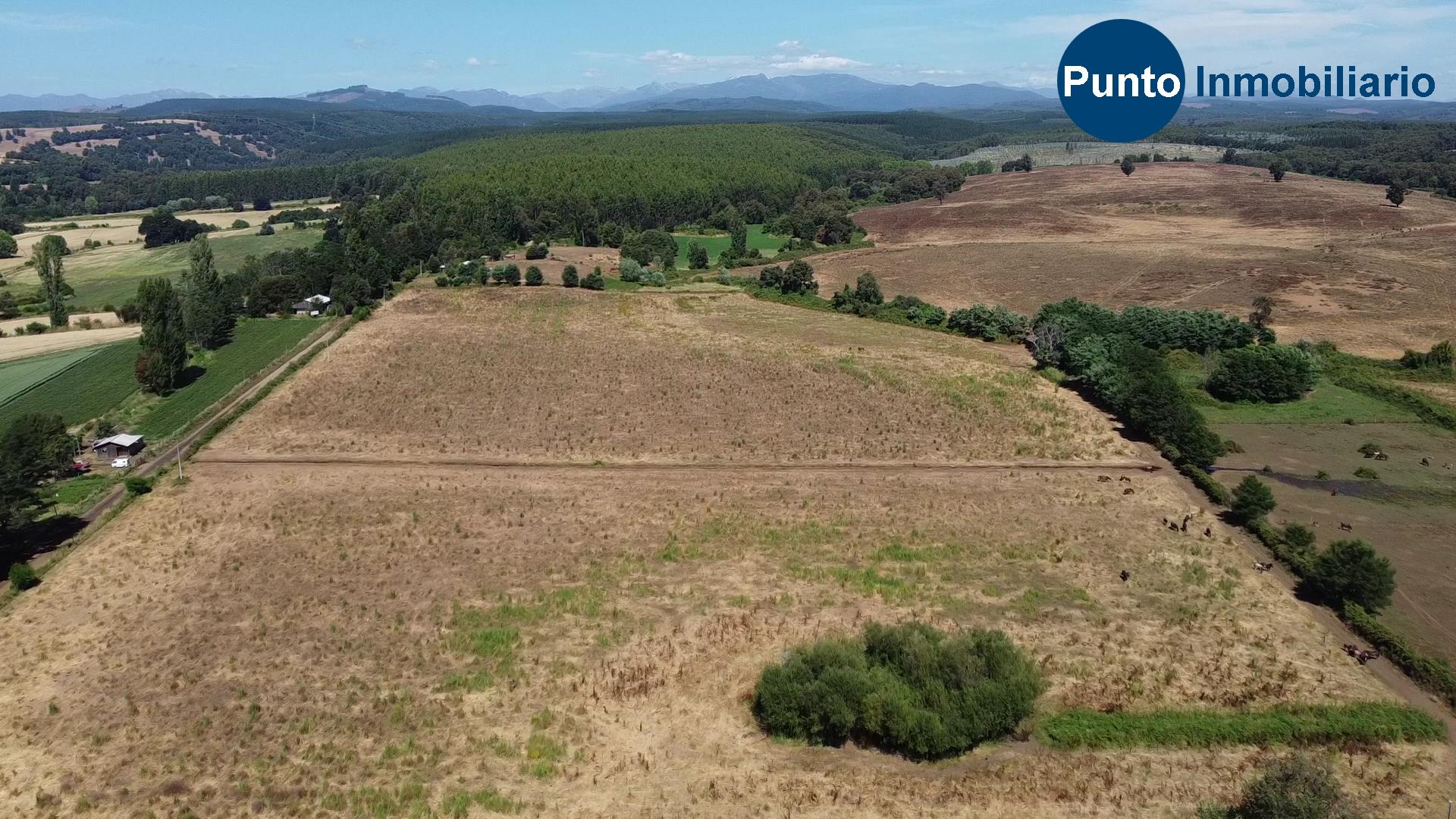 Fundo en Coihueco (Time 0_00_27;11)