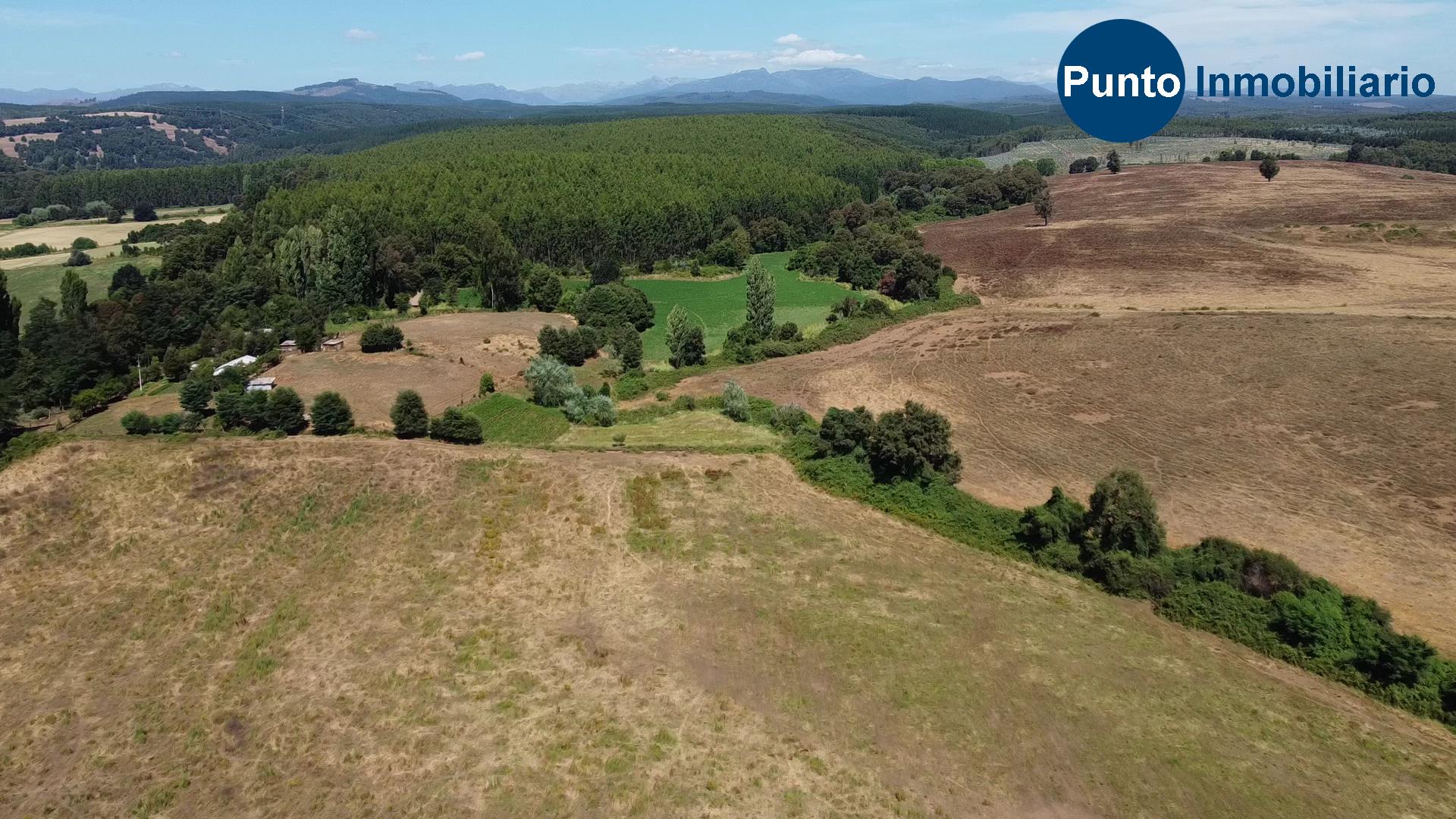 Fundo en Coihueco (Time 0_00_33;16)