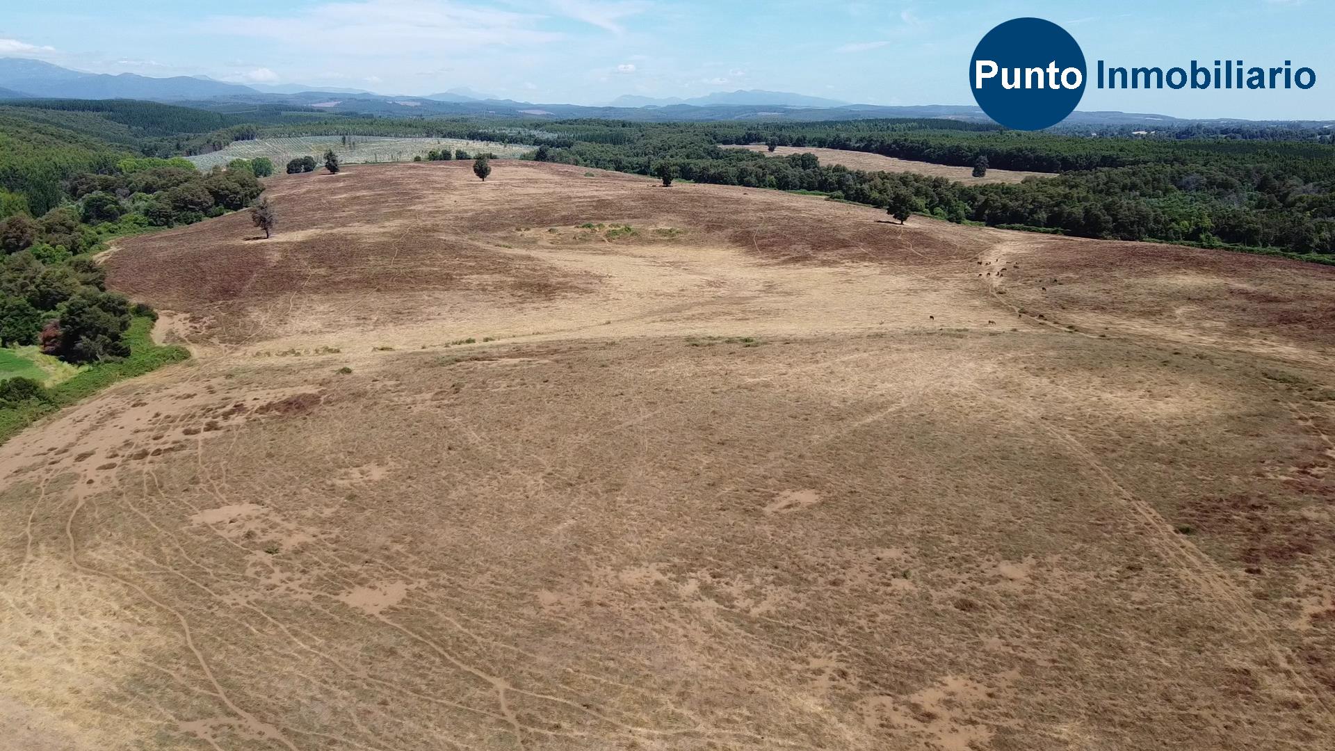 Fundo en Coihueco (Time 0_00_36;16)