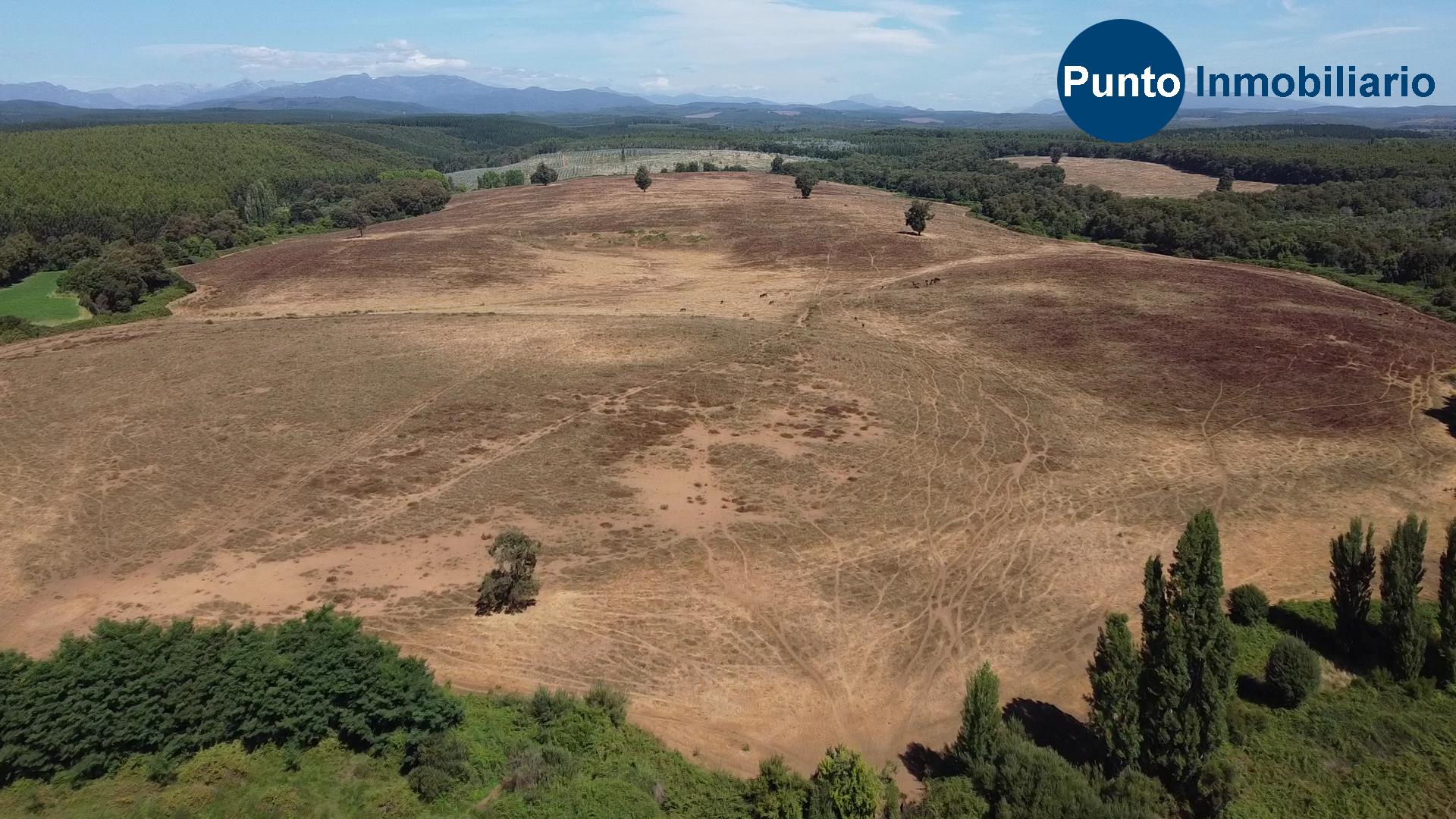 Fundo en Coihueco (Time 0_00_39;14)