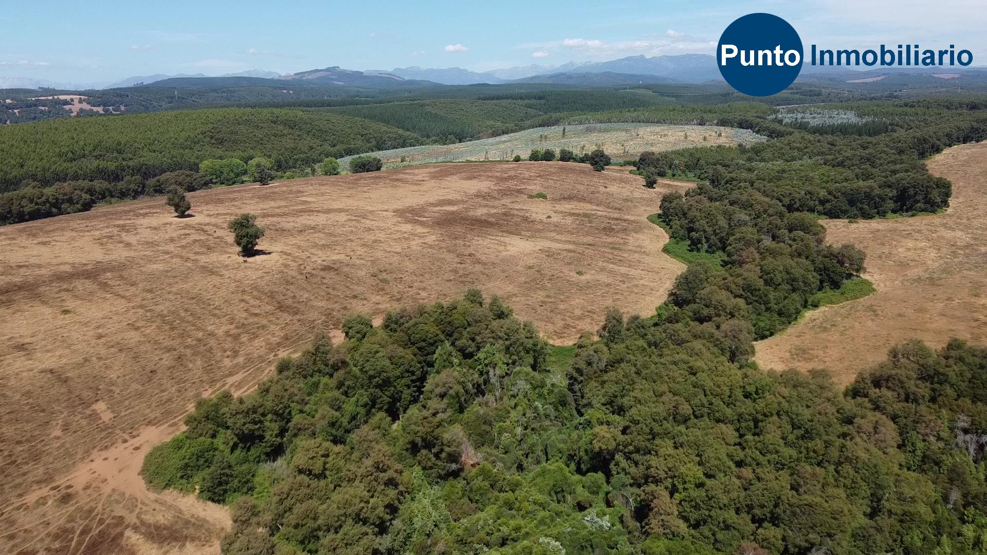 Fundo en Coihueco (Time 0_00_42;23)