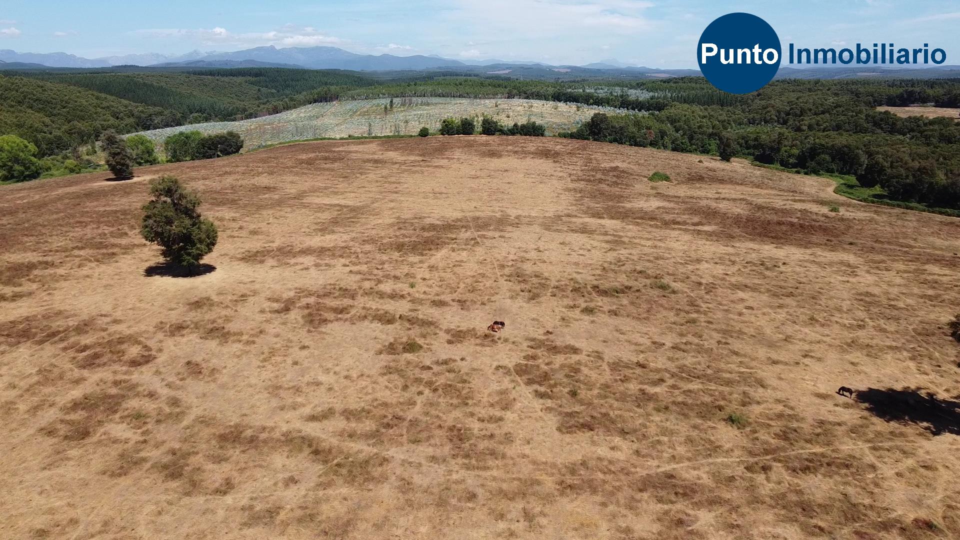 Fundo en Coihueco (Time 0_00_48;28)