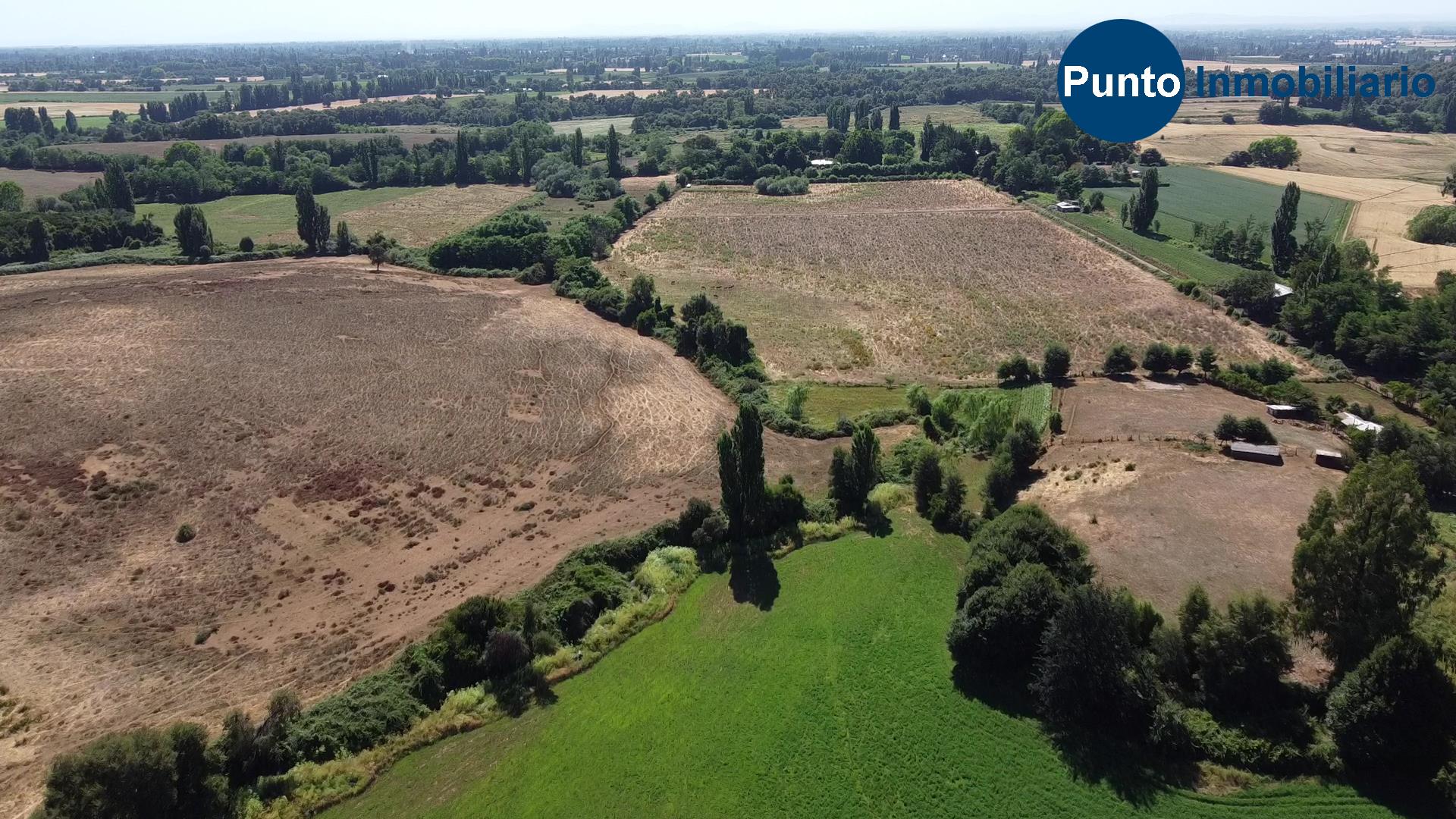 Fundo en Coihueco (Time 0_00_54;21)