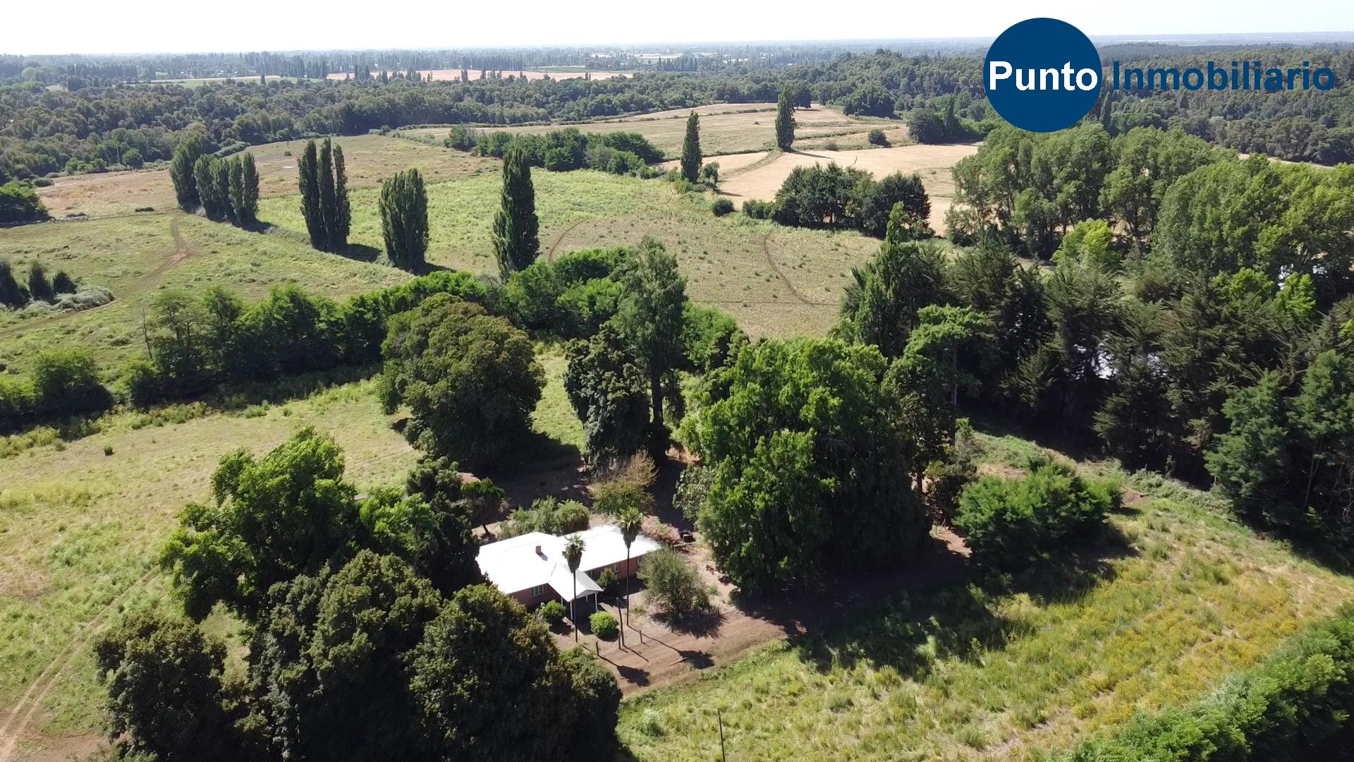 Fundo en Coihueco (Time 0_00_57;27)