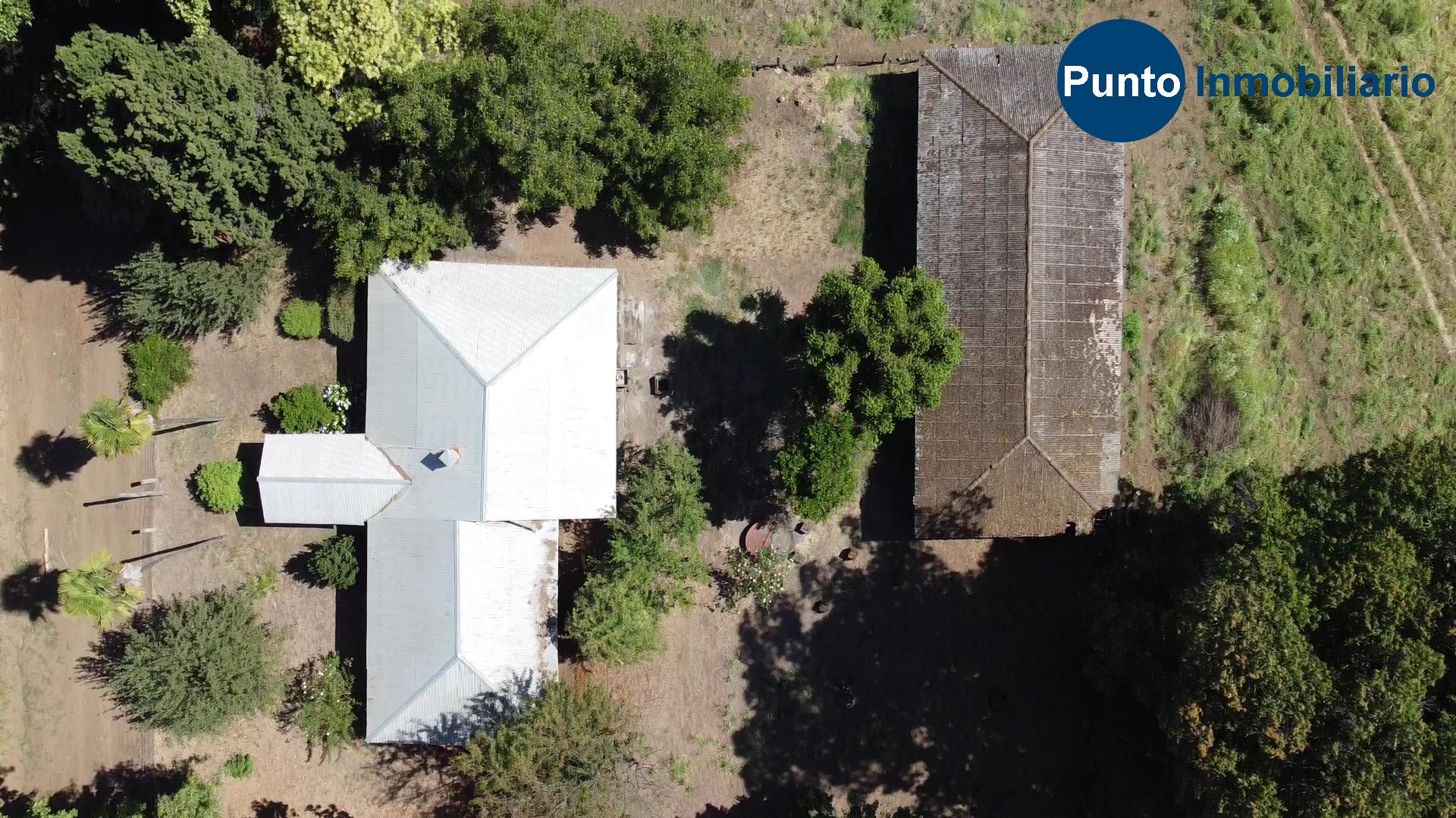 Fundo en Coihueco (Time 0_01_02;28)